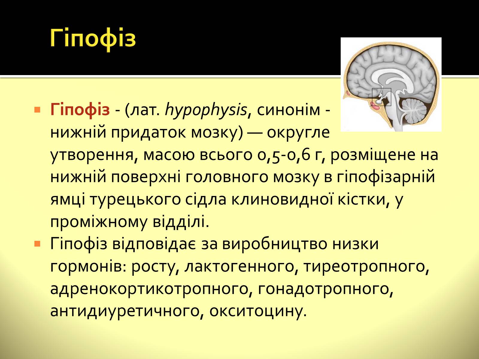 Презентація на тему «Ендокринні залози» - Слайд #3 Презентація на тему «Ендокринні залози» - Слайд #3