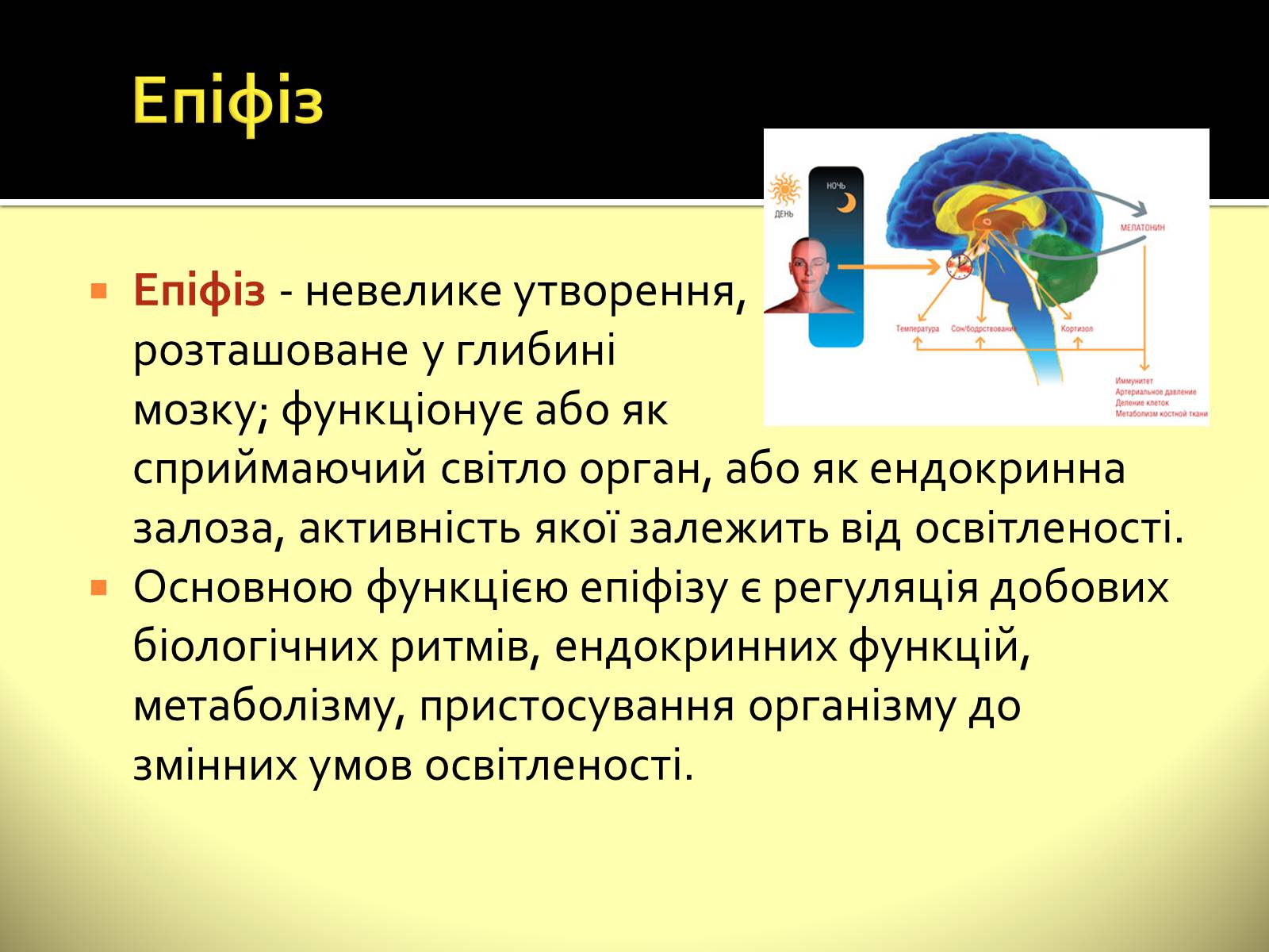 Презентація на тему «Ендокринні залози» - Слайд #4 Презентація на тему «Ендокринні залози» - Слайд #4