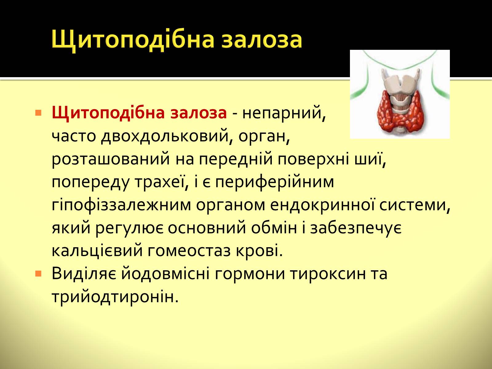 Презентація на тему «Ендокринні залози» - Слайд #5 Презентація на тему «Ендокринні залози» - Слайд #5
