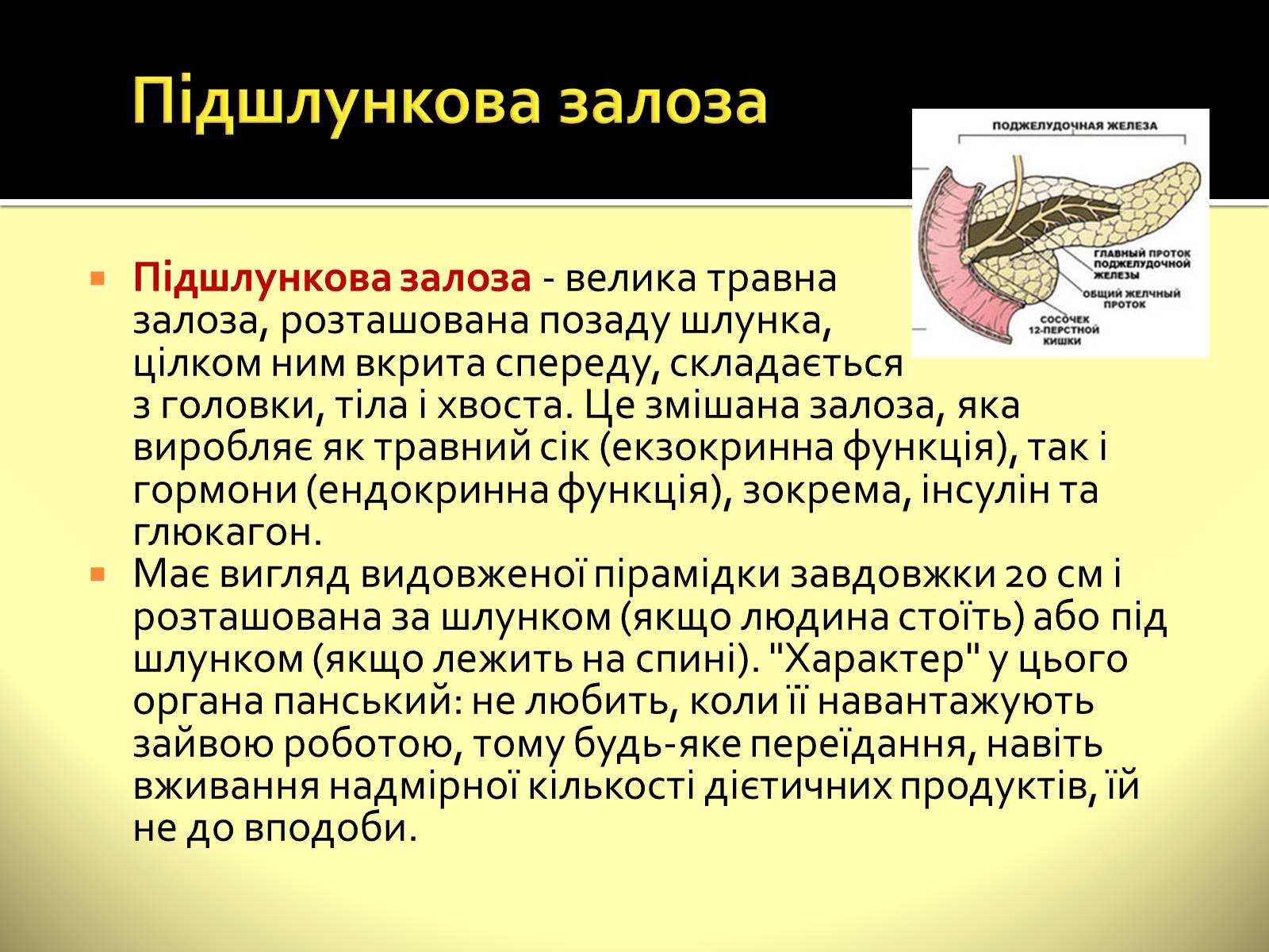 Презентація на тему «Ендокринні залози» - Слайд #8 Презентація на тему «Ендокринні залози» - Слайд #8
