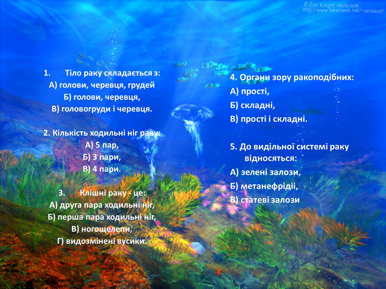 Презентація на тему «Різноманітність ракоподібних» (варіант 2) - Слайд #2 Презентація на тему «Різноманітність ракоподібних» (варіант 2) - Слайд #2