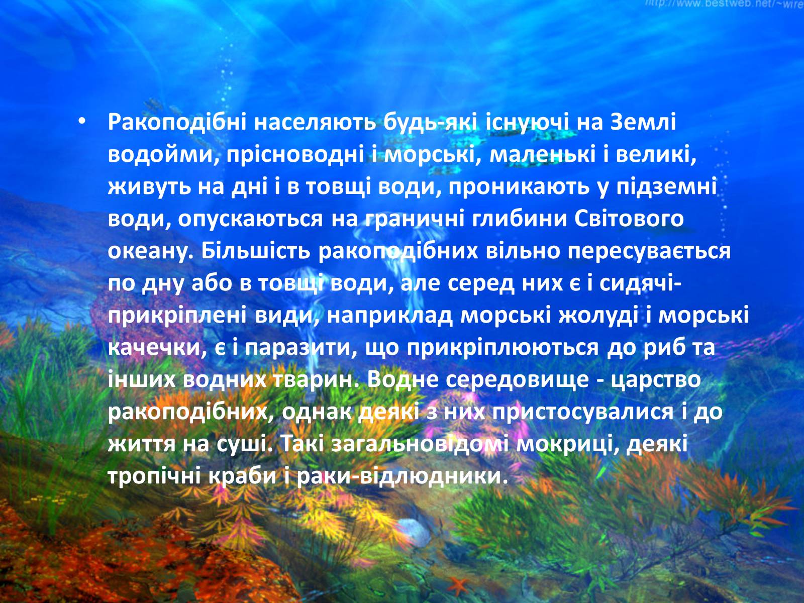 Презентація на тему «Різноманітність ракоподібних» (варіант 2) - Слайд #3 Презентація на тему «Різноманітність ракоподібних» (варіант 2) - Слайд #3