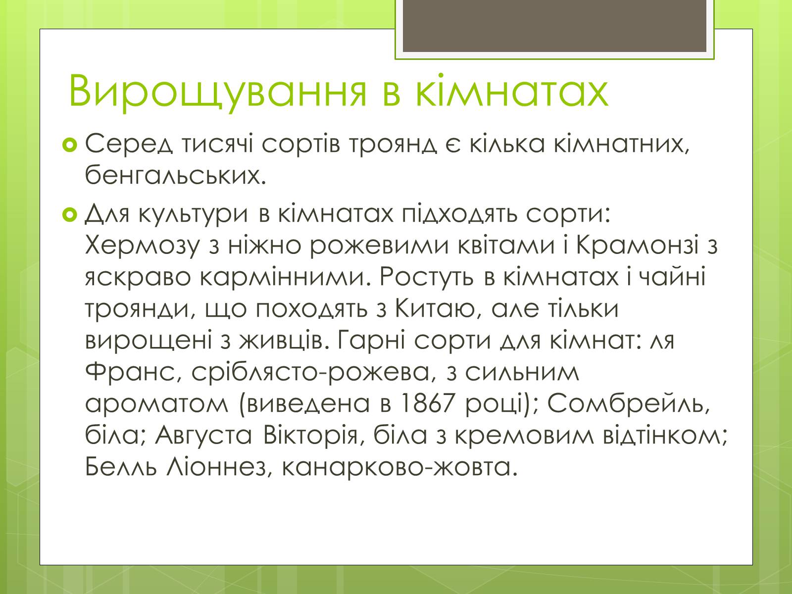 Презентація на тему «Троянди» (варіант 1) - Слайд #7 Презентація на тему «Троянди» (варіант 1) - Слайд #7