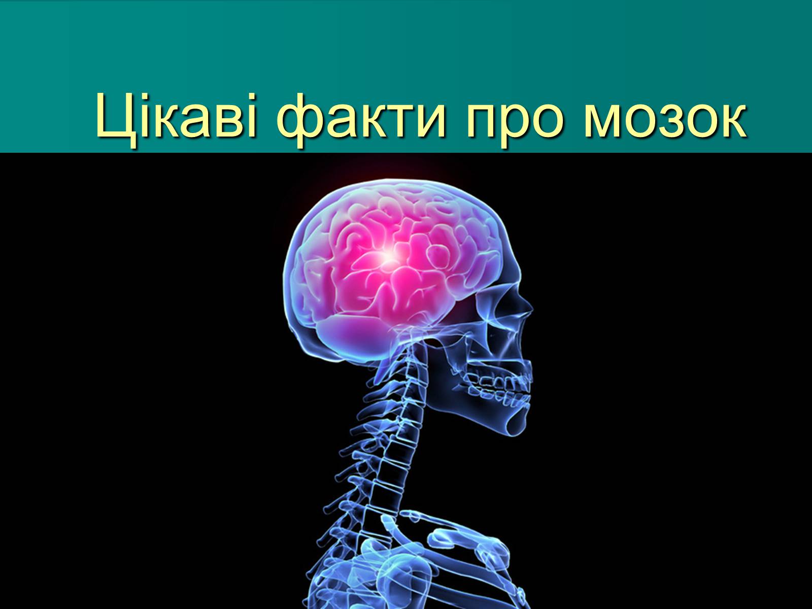 Презентація на тему «Цікаві факти про мозок» - Слайд #1 Презентація на тему «Цікаві факти про мозок» - Слайд #1