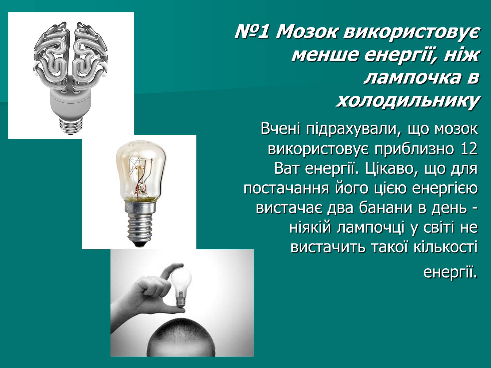 Презентація на тему «Цікаві факти про мозок» - Слайд #2 Презентація на тему «Цікаві факти про мозок» - Слайд #2
