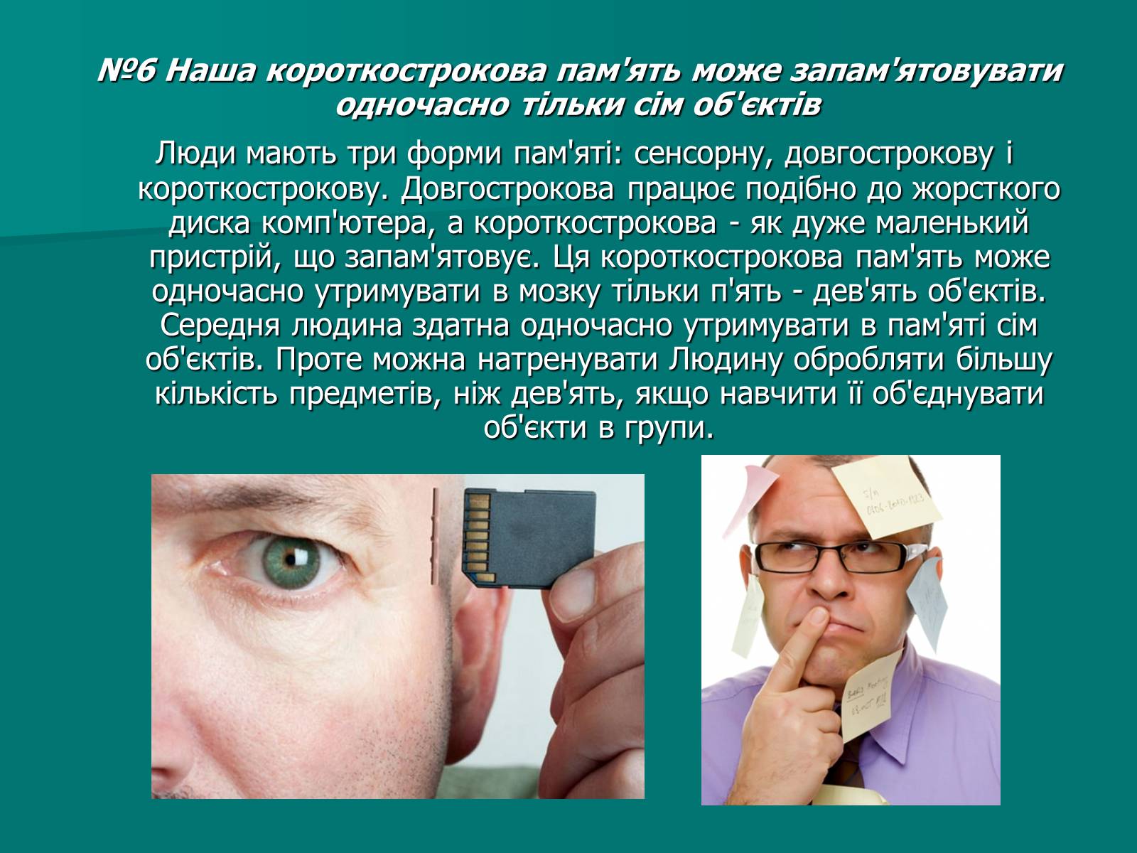 Презентація на тему «Цікаві факти про мозок» - Слайд #7 Презентація на тему «Цікаві факти про мозок» - Слайд #7