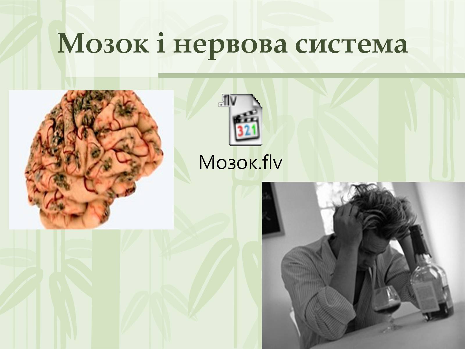 Презентація на тему «Як впливає на репродуктивне здоров’я алкоголь» - Слайд #11 Презентація на тему «Як впливає на репродуктивне здоров’я алкоголь» - Слайд #11
