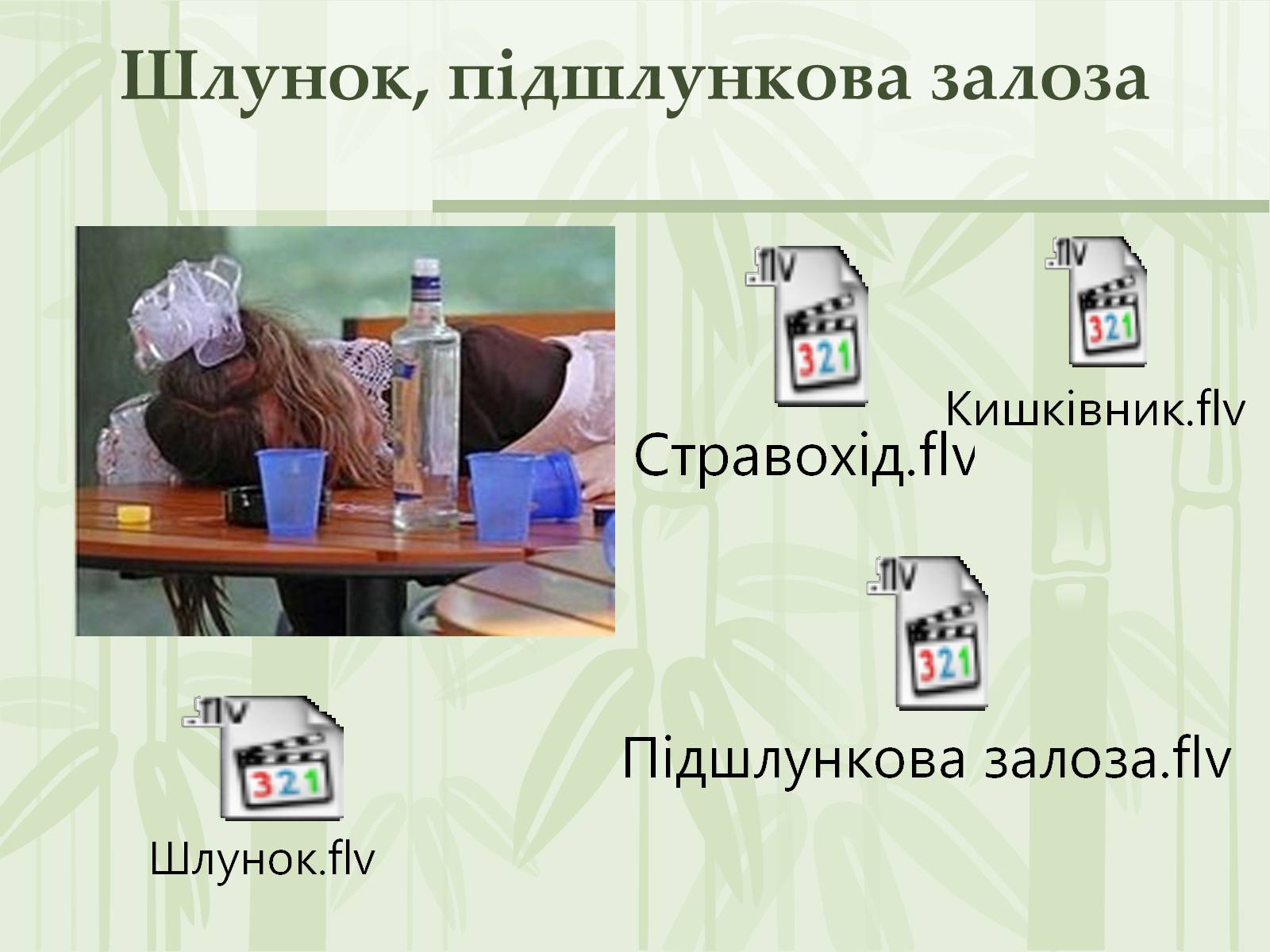 Презентація на тему «Як впливає на репродуктивне здоров’я алкоголь» - Слайд #13 Презентація на тему «Як впливає на репродуктивне здоров’я алкоголь» - Слайд #13