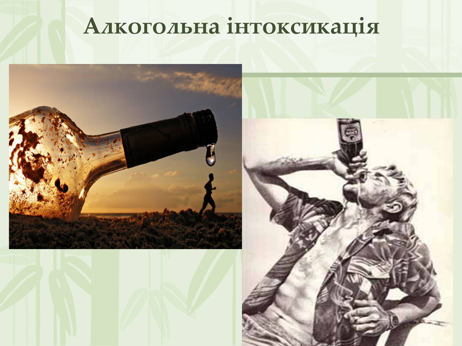 Презентація на тему «Як впливає на репродуктивне здоров’я алкоголь» - Слайд #3 Презентація на тему «Як впливає на репродуктивне здоров’я алкоголь» - Слайд #3