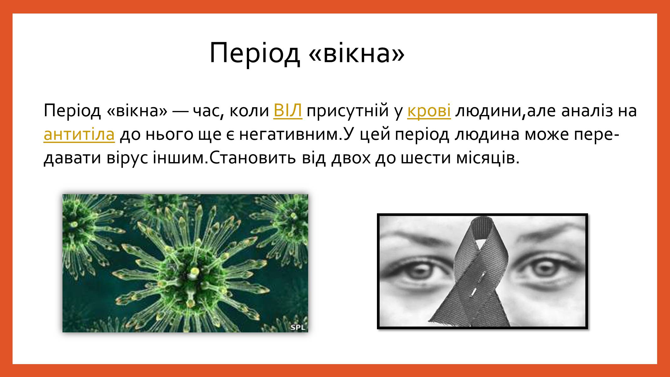 Презентація на тему «ВІЛ. СНІД. інфекції ІПСШ: шляхи передачі і методи захисту» (варіант 8) - Слайд #6 Презентація на тему «ВІЛ. СНІД. інфекції ІПСШ: шляхи передачі і методи захисту» (варіант 8) - Слайд #6