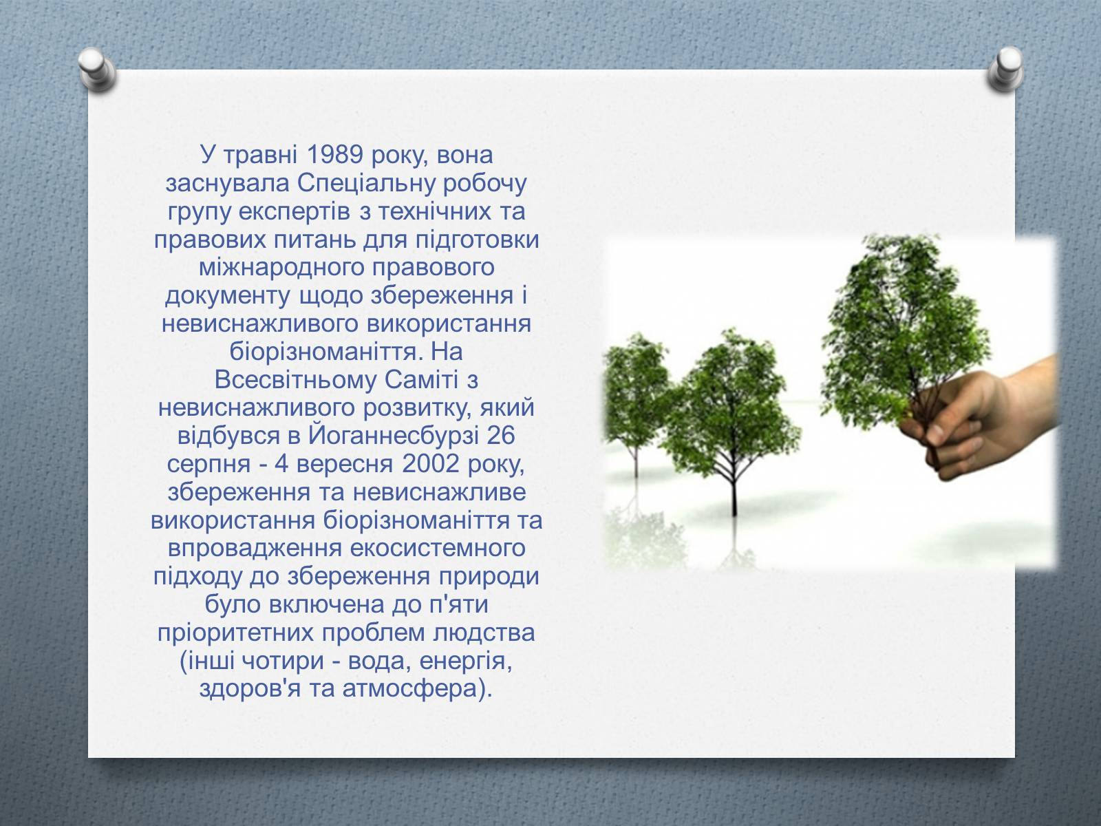 Презентація на тему «Біорізноманіття» (варіант 4) - Слайд #7 Презентація на тему «Біорізноманіття» (варіант 4) - Слайд #7
