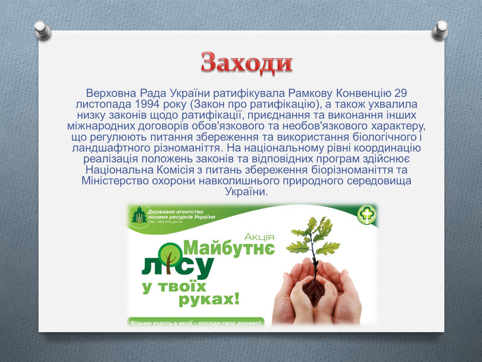 Презентація на тему «Біорізноманіття» (варіант 4) - Слайд #9 Презентація на тему «Біорізноманіття» (варіант 4) - Слайд #9