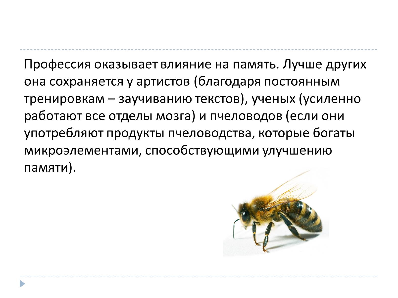 Презентація на тему «Память» - Слайд #16 Презентація на тему «Память» - Слайд #16