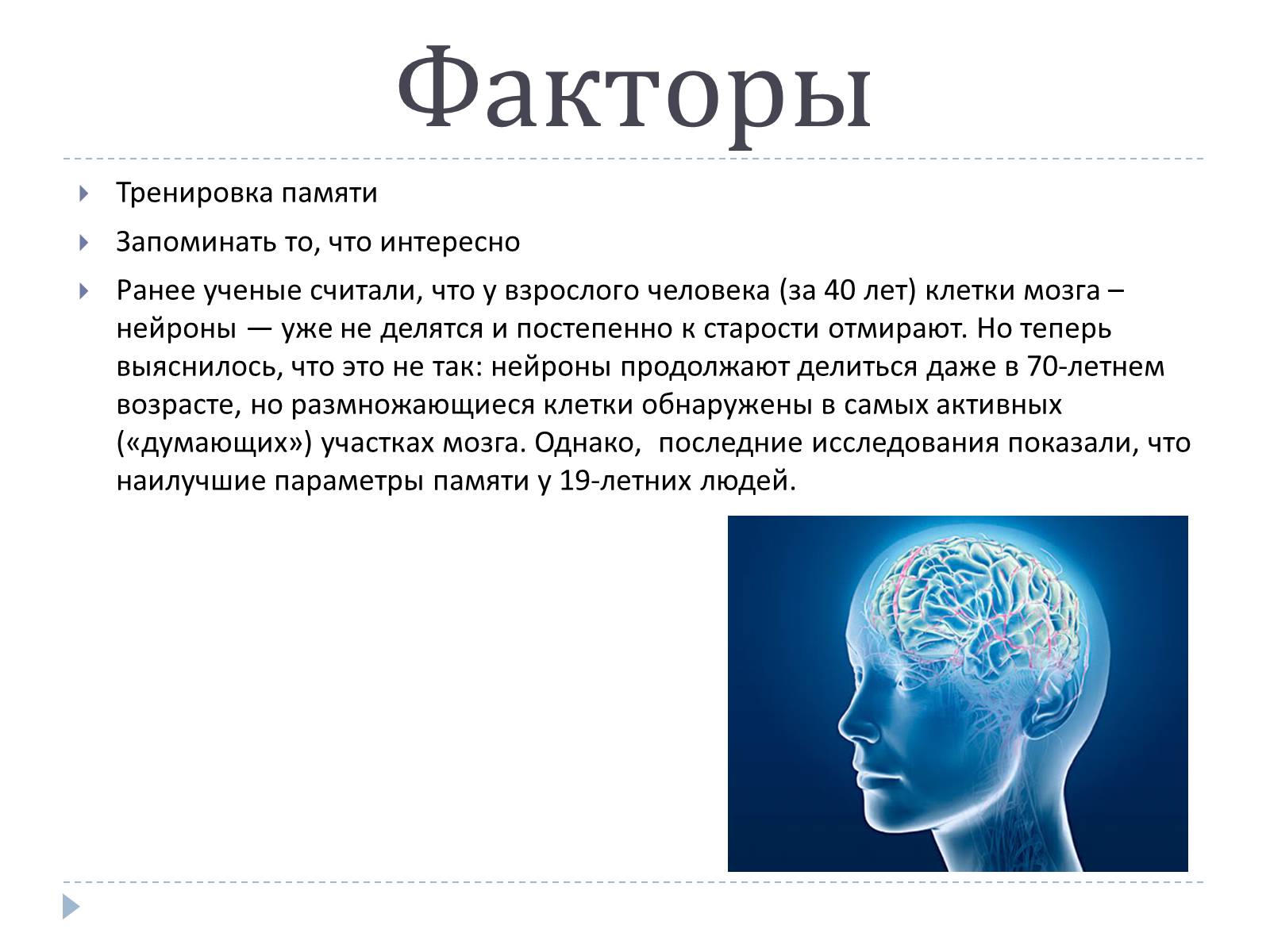 Презентація на тему «Память» - Слайд #3 Презентація на тему «Память» - Слайд #3
