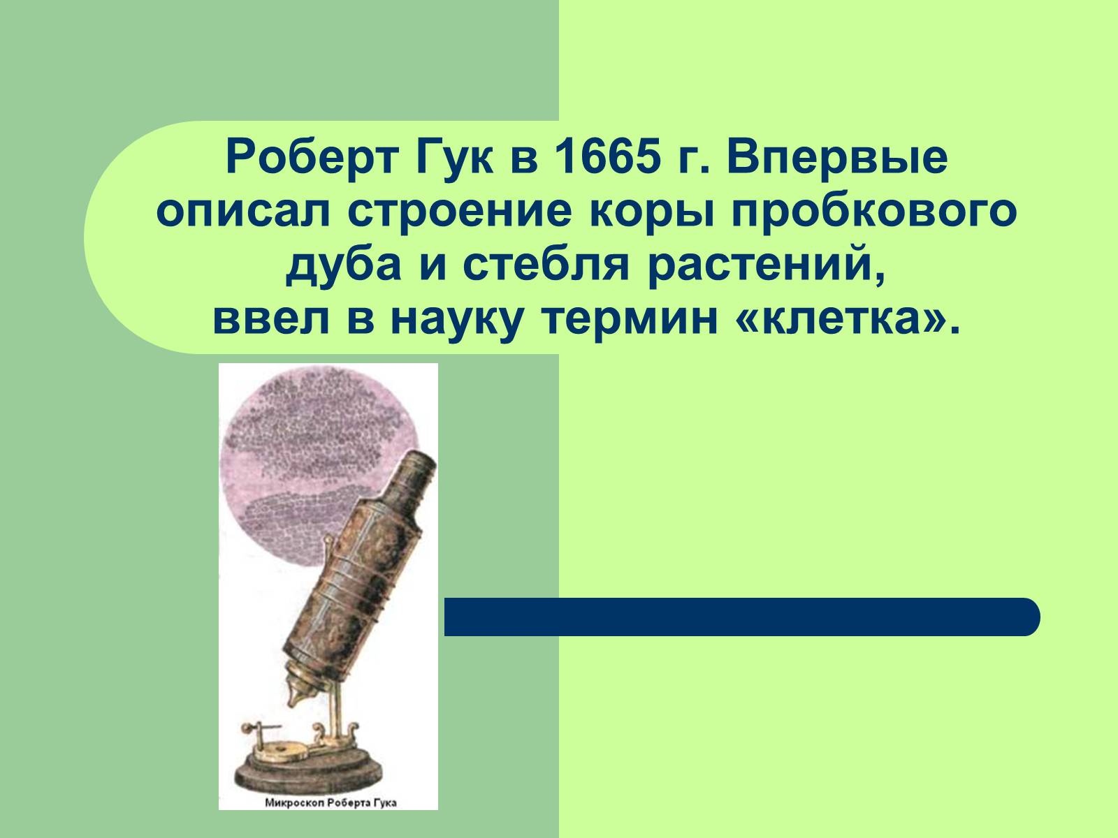 Презентація на тему «Клеточная теория» - Слайд #7 Презентація на тему «Клеточная теория» - Слайд #7