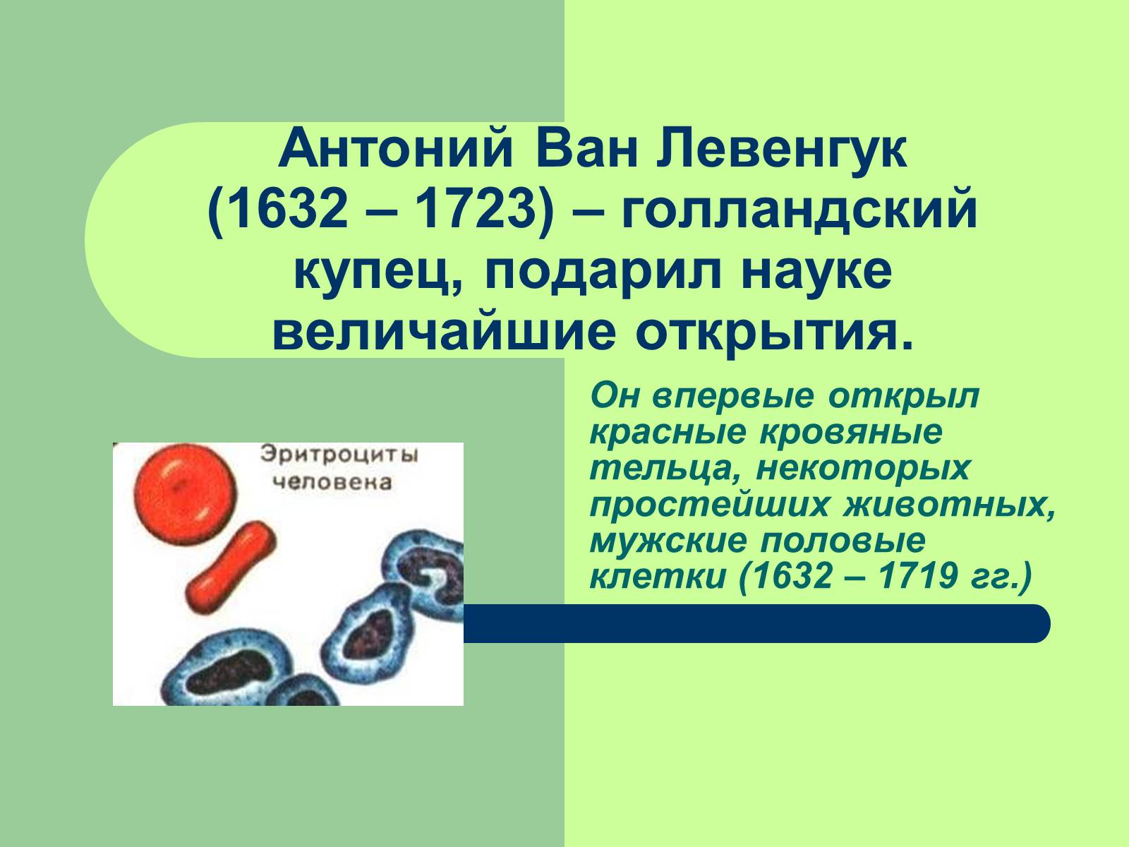 Презентація на тему «Клеточная теория» - Слайд #9 Презентація на тему «Клеточная теория» - Слайд #9