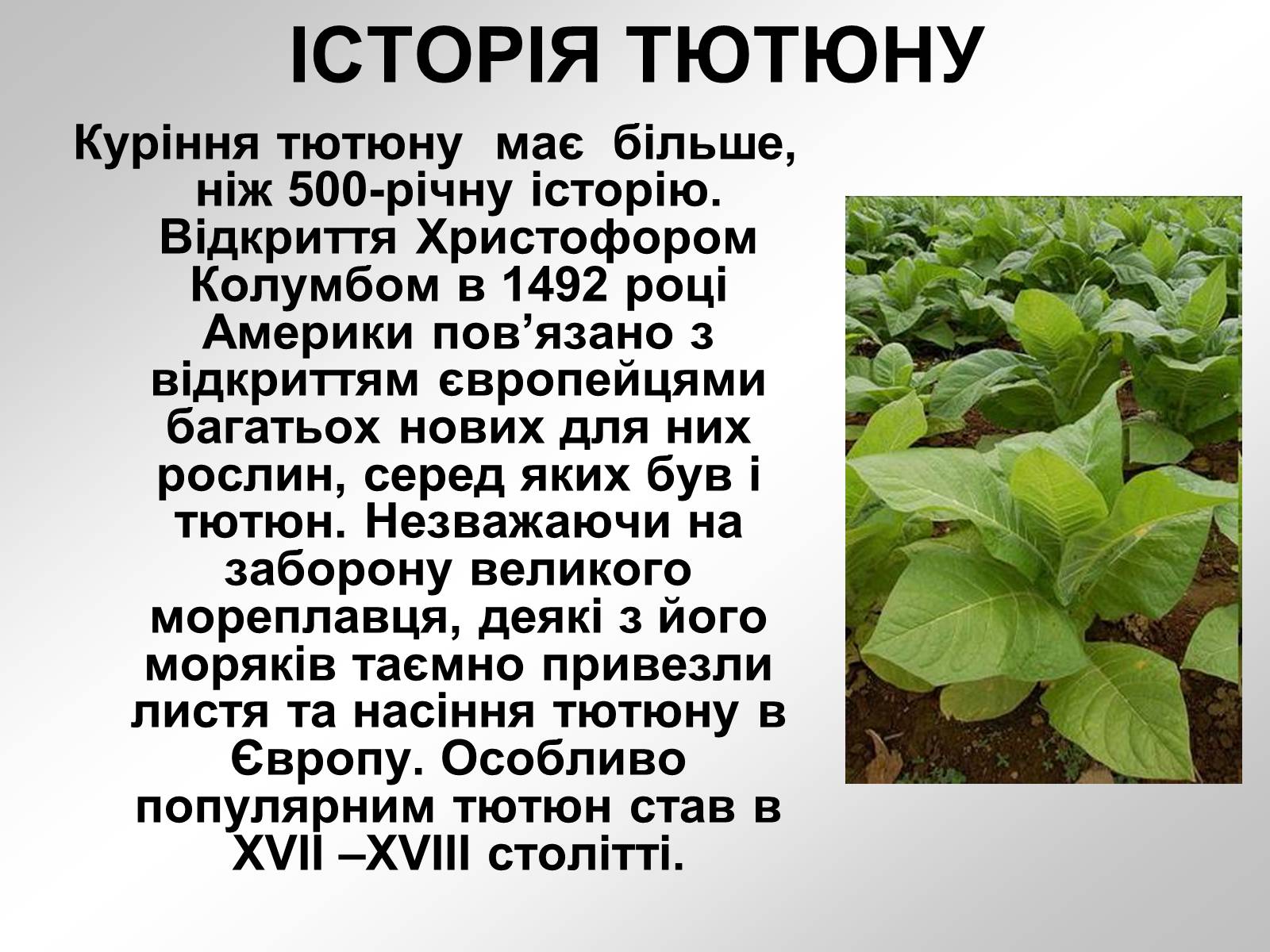 Презентація на тему «Тютюнопаління» (варіант 1) - Слайд #5 Презентація на тему «Тютюнопаління» (варіант 1) - Слайд #5
