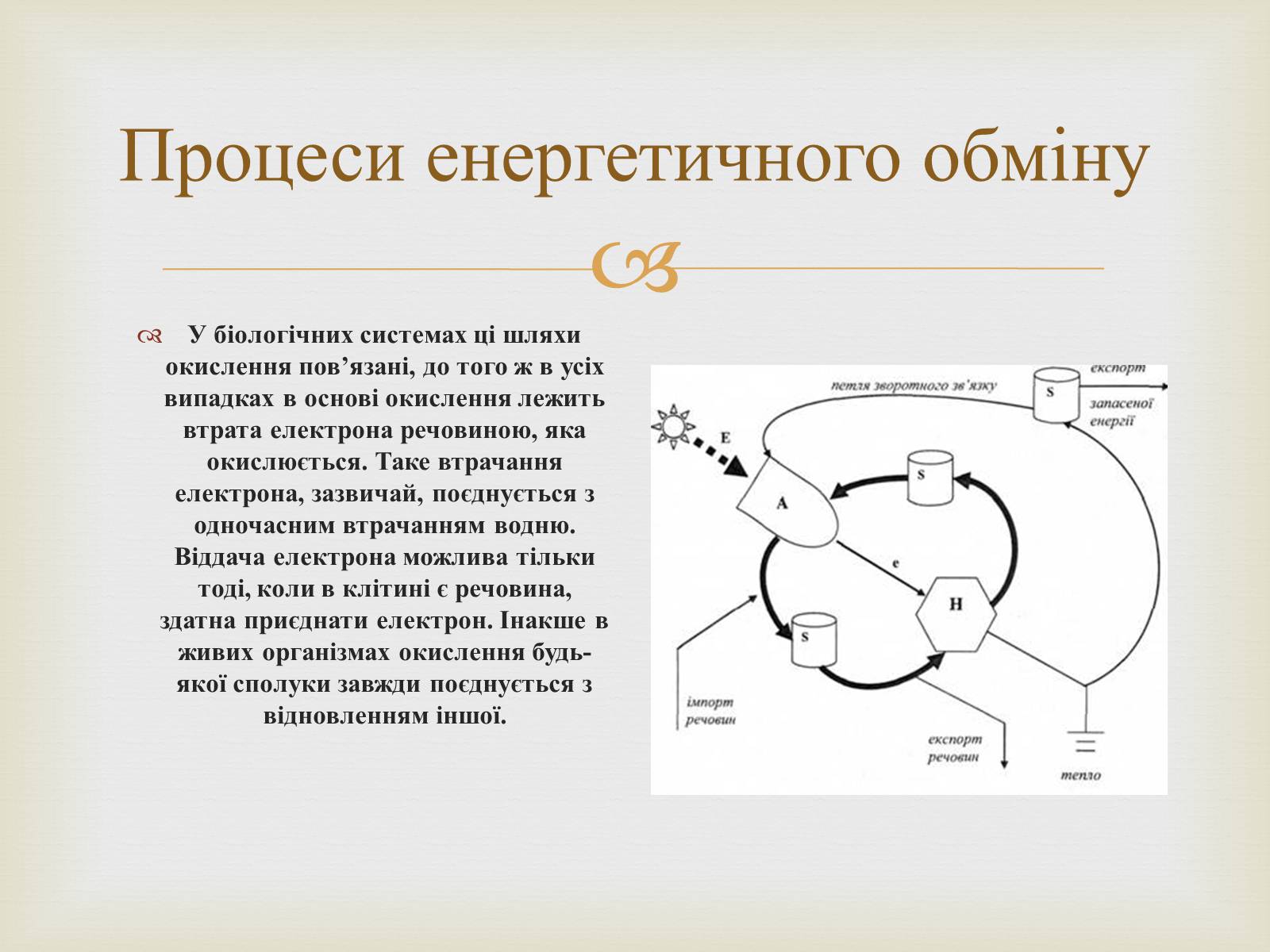 Презентація на тему «Метаболізм» - Слайд #5 Презентація на тему «Метаболізм» - Слайд #5