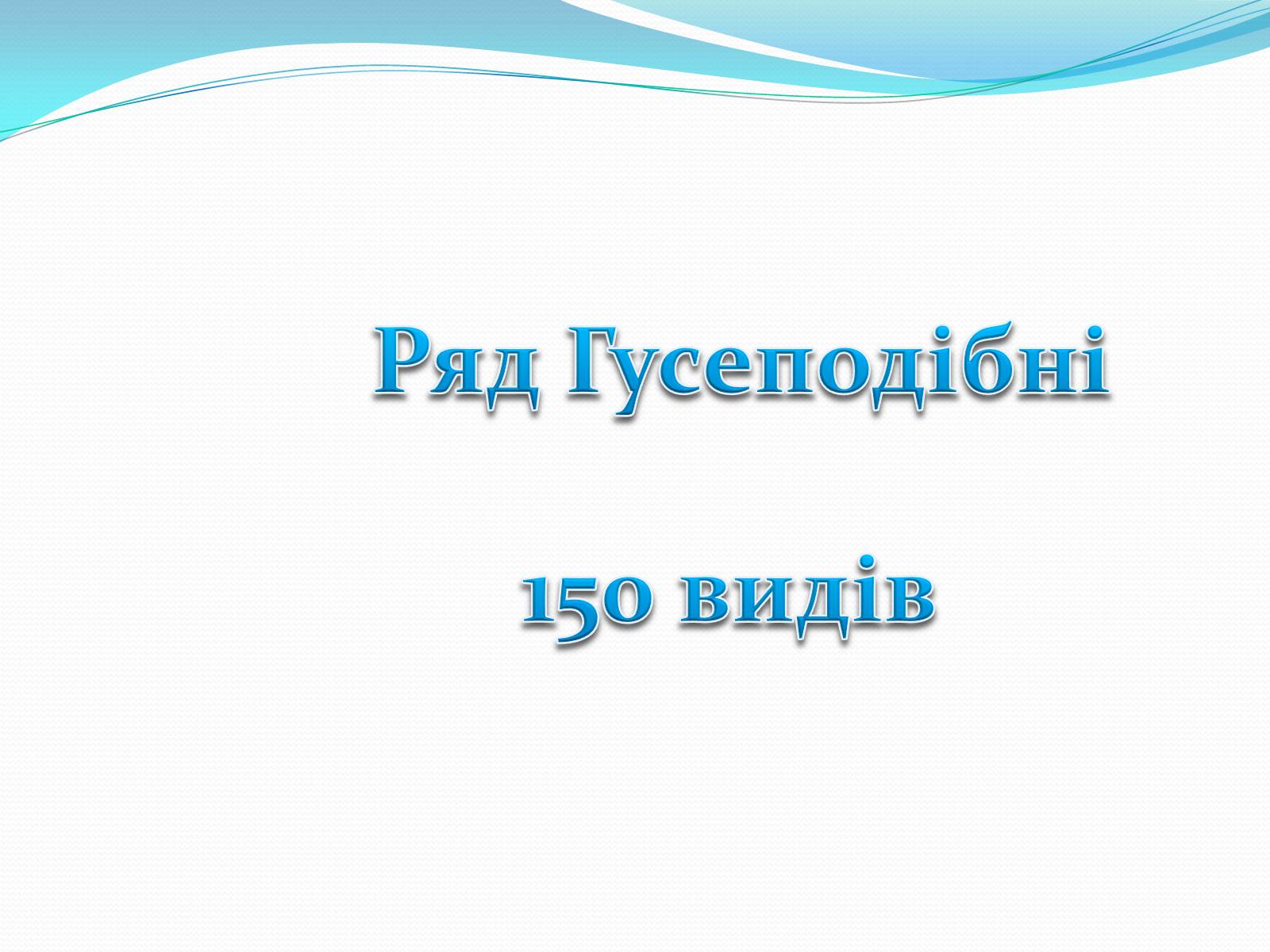 Презентація на тему «Надряд Кільогруді птахи» - Слайд #12 Презентація на тему «Надряд Кільогруді птахи» - Слайд #12