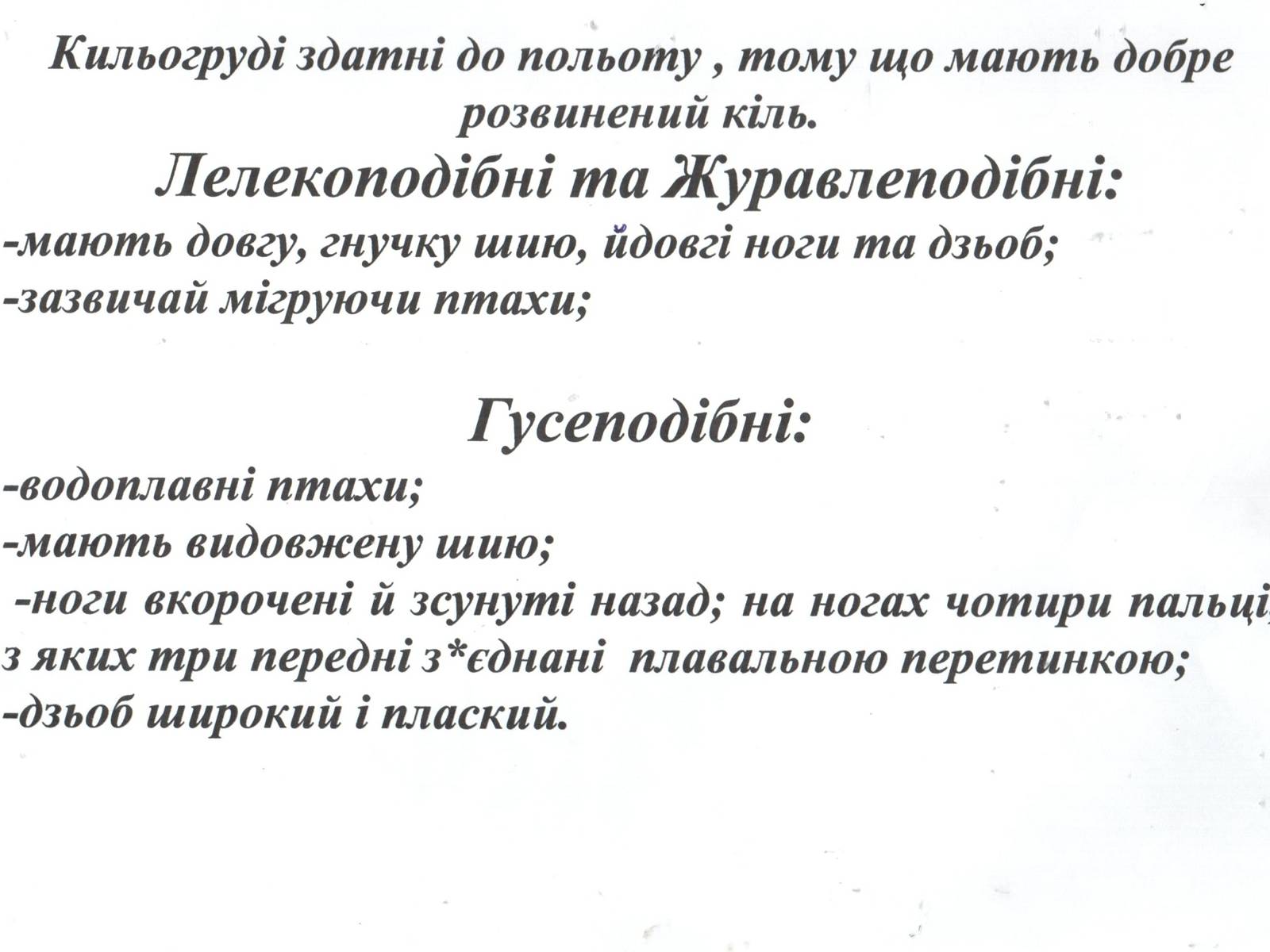 Презентація на тему «Надряд Кільогруді птахи» - Слайд #2 Презентація на тему «Надряд Кільогруді птахи» - Слайд #2