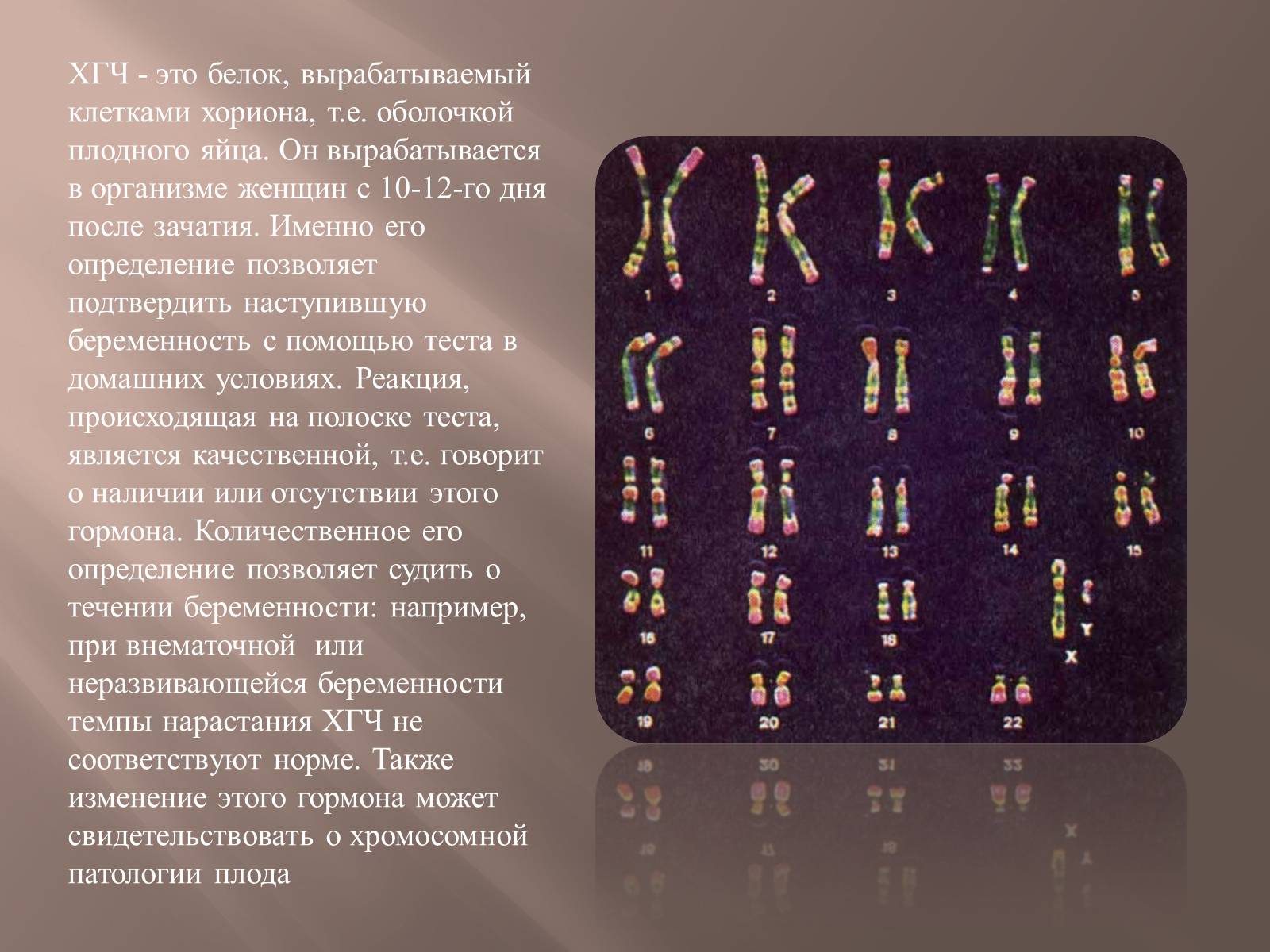Презентація на тему «Генетика человека» (варіант 2) - Слайд #17 Презентація на тему «Генетика человека» (варіант 2) - Слайд #17