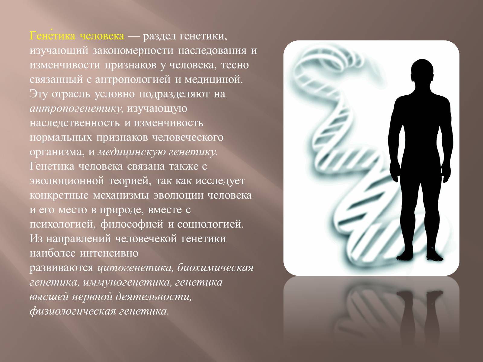 Презентація на тему «Генетика человека» (варіант 2) - Слайд #2 Презентація на тему «Генетика человека» (варіант 2) - Слайд #2