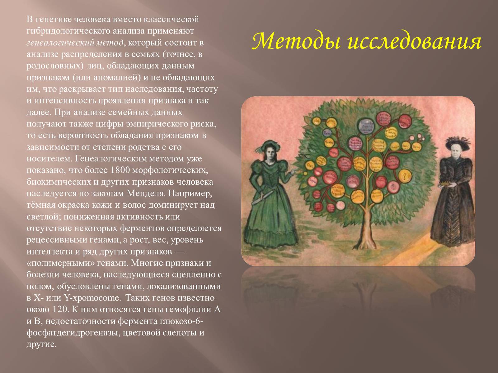 Презентація на тему «Генетика человека» (варіант 2) - Слайд #3 Презентація на тему «Генетика человека» (варіант 2) - Слайд #3