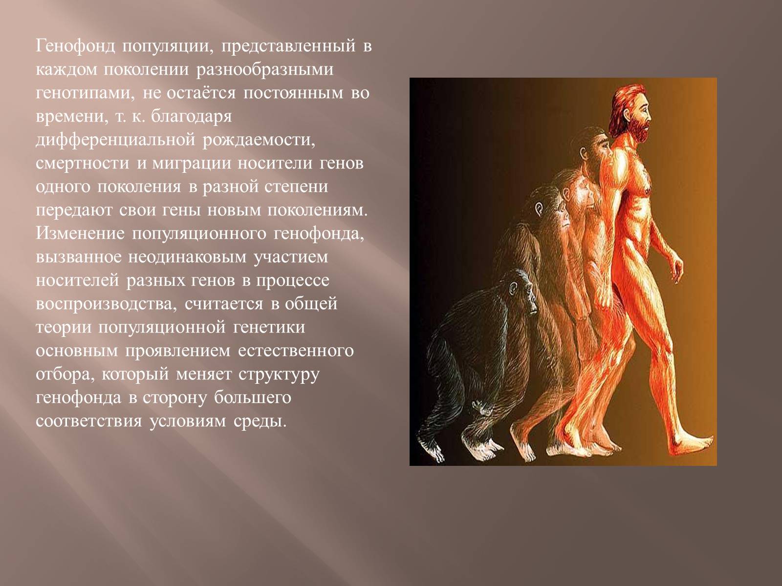 Презентація на тему «Генетика человека» (варіант 2) - Слайд #7 Презентація на тему «Генетика человека» (варіант 2) - Слайд #7