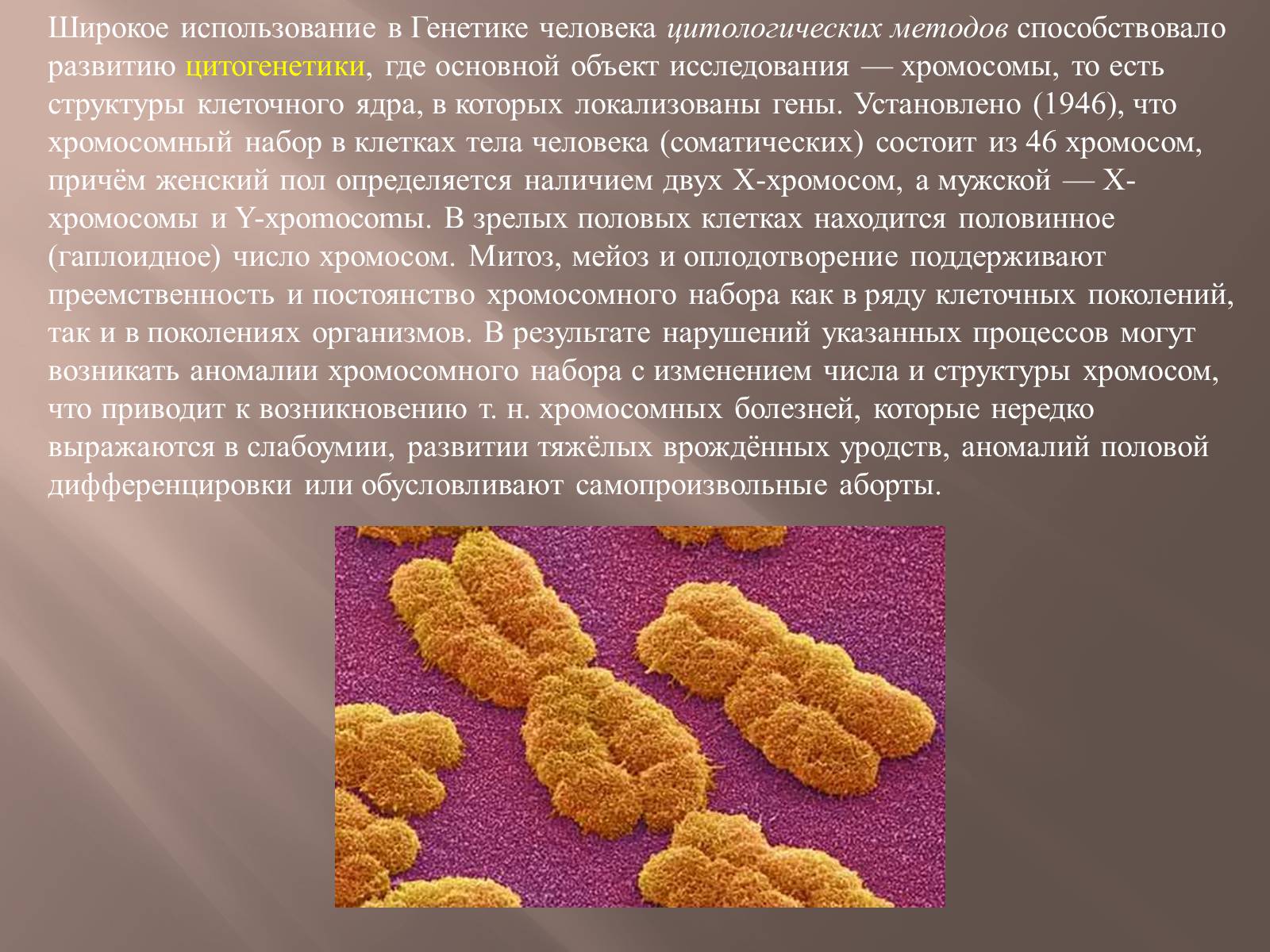 Презентація на тему «Генетика человека» (варіант 2) - Слайд #9 Презентація на тему «Генетика человека» (варіант 2) - Слайд #9