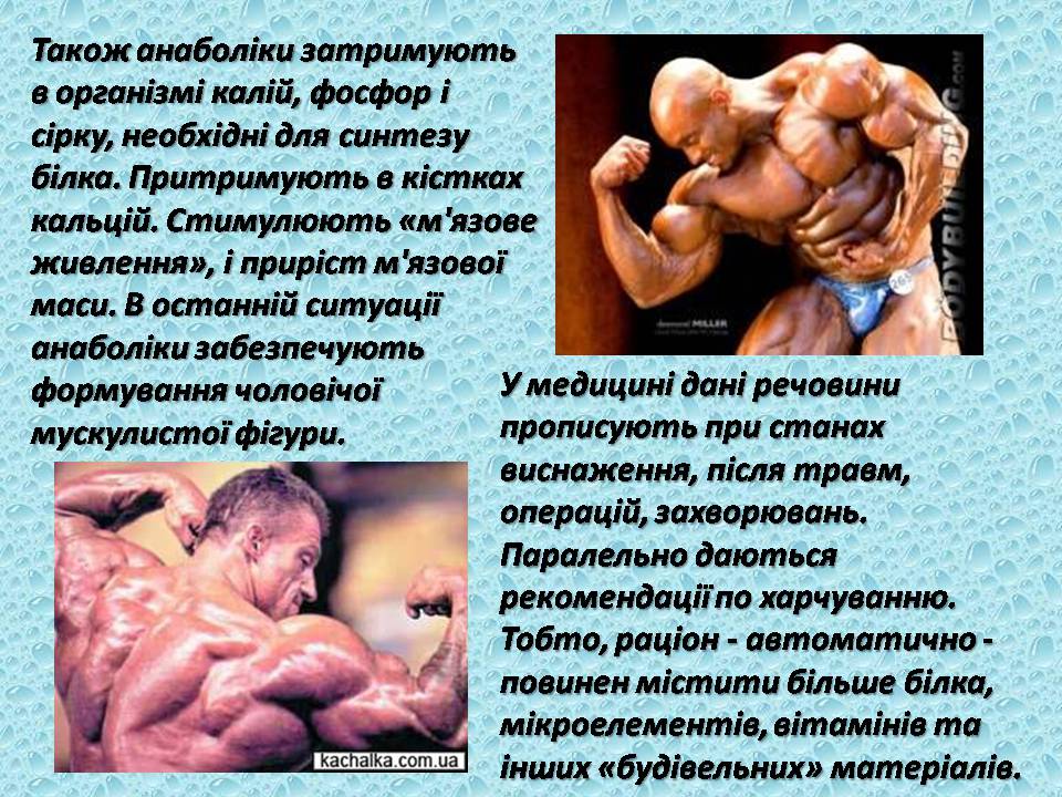Презентація на тему «Вплив анаболіків на організм людини» - Слайд #4 Презентація на тему «Вплив анаболіків на організм людини» - Слайд #4