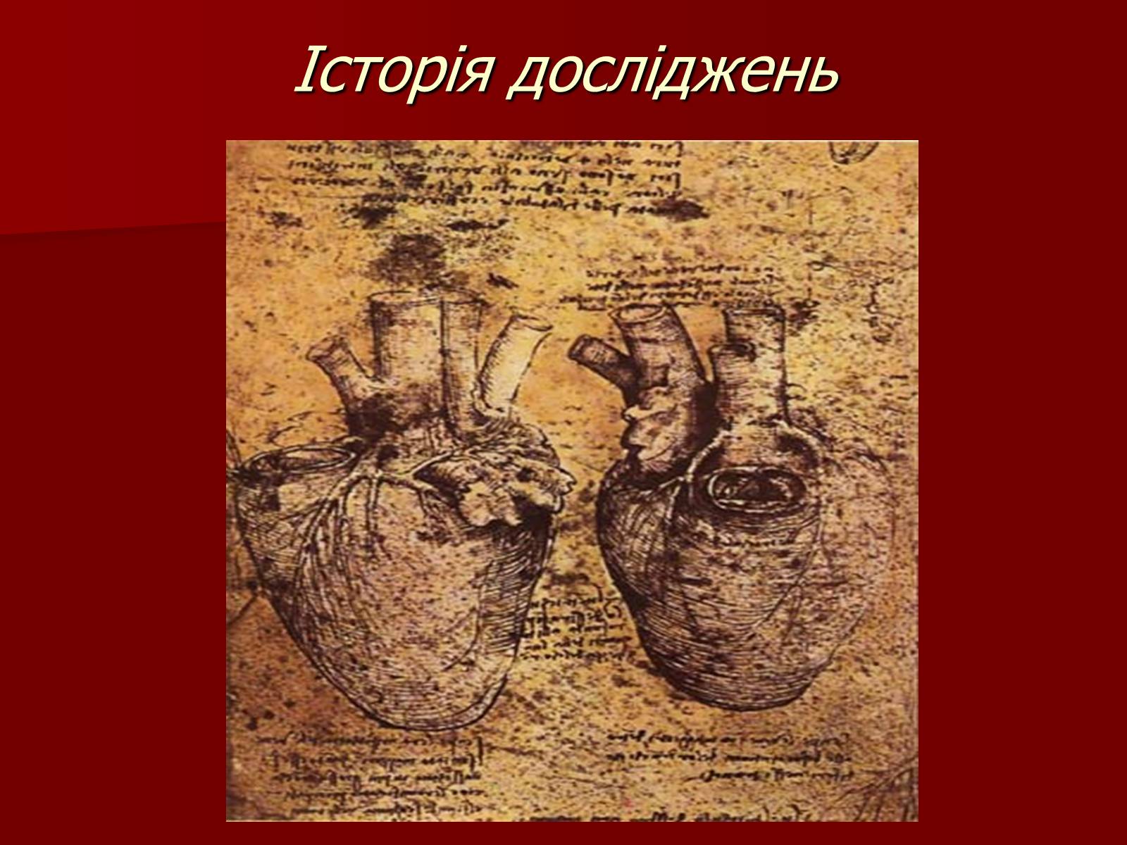 Презентація на тему «Серце людини і тварин» - Слайд #9 Презентація на тему «Серце людини і тварин» - Слайд #9