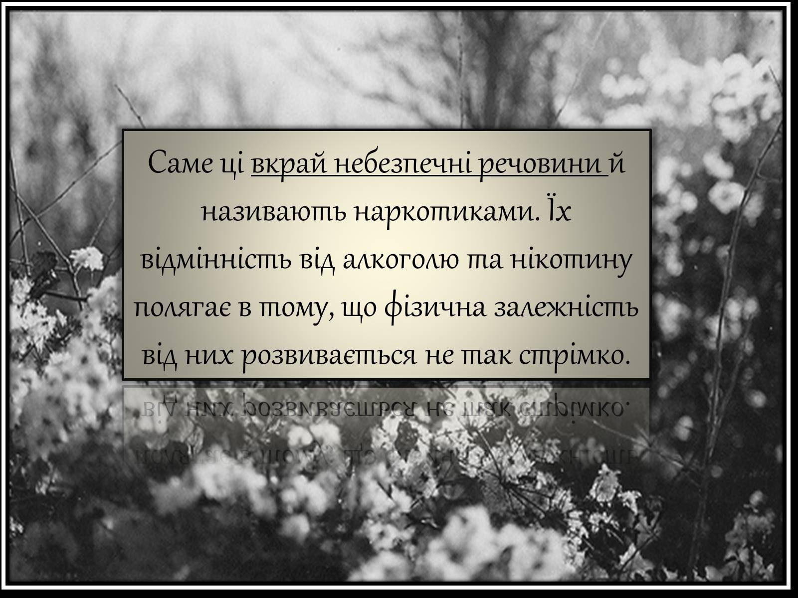 Презентація на тему «Шкідливий вплив наркотичних речовин на організм людини» (варіант 1) - Слайд #13 Презентація на тему «Шкідливий вплив наркотичних речовин на організм людини» (варіант 1) - Слайд #13