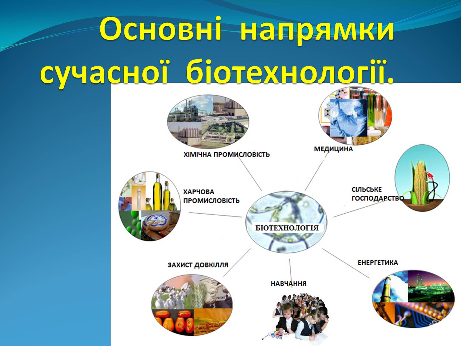 Презентація на тему «Основні напрямки сучасної біотехнології» (варіант 2) - Слайд #1 Презентація на тему «Основні напрямки сучасної біотехнології» (варіант 2) - Слайд #1