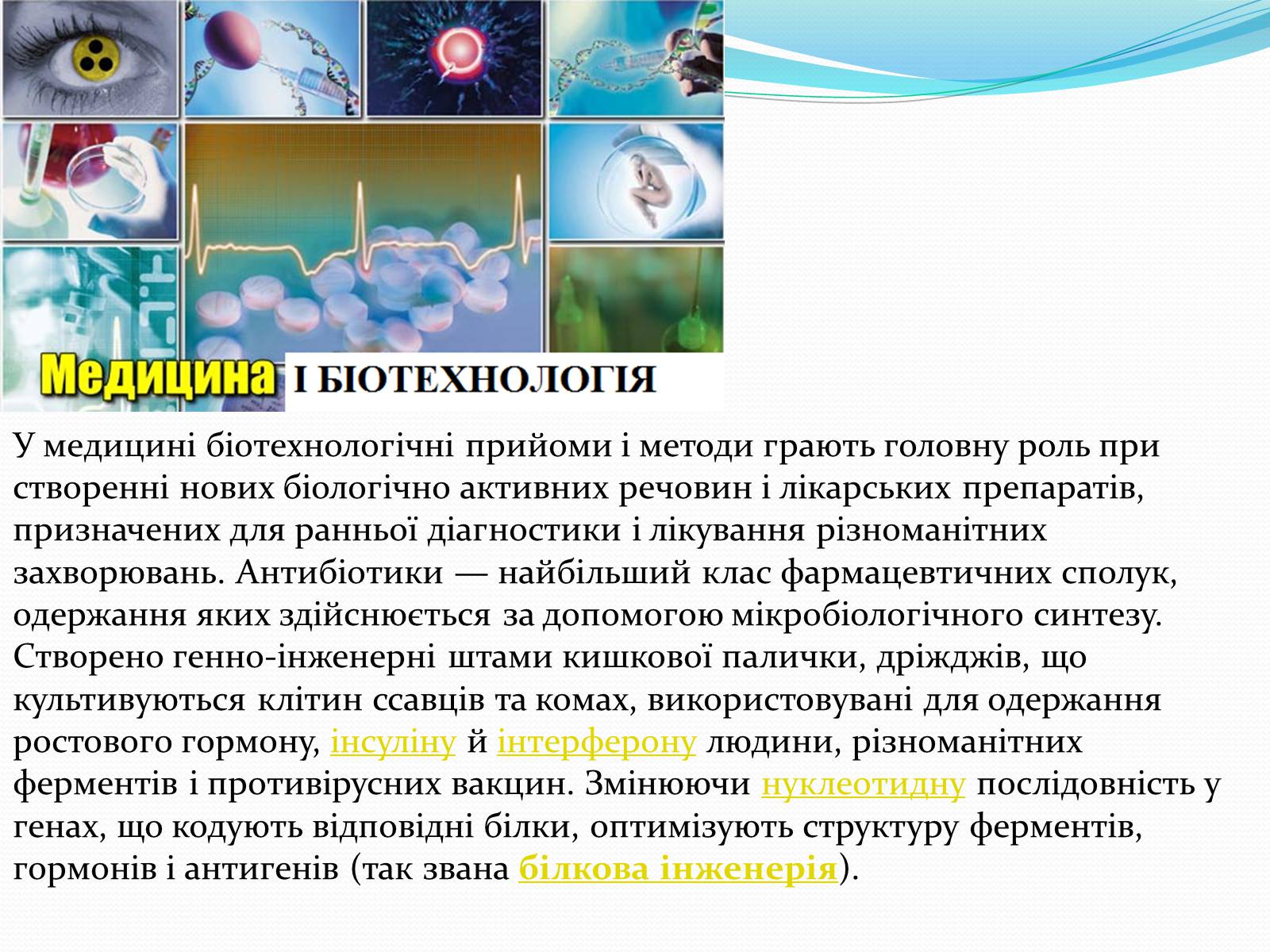 Презентація на тему «Основні напрямки сучасної біотехнології» (варіант 2) - Слайд #13 Презентація на тему «Основні напрямки сучасної біотехнології» (варіант 2) - Слайд #13