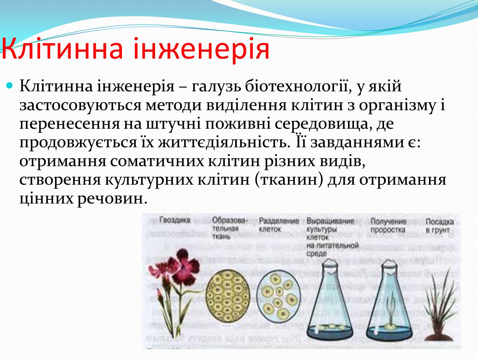 Презентація на тему «Основні напрямки сучасної біотехнології» (варіант 2) - Слайд #8 Презентація на тему «Основні напрямки сучасної біотехнології» (варіант 2) - Слайд #8