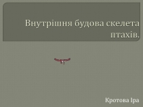 Презентація на тему «Внутрішня будова скелета птахів»
