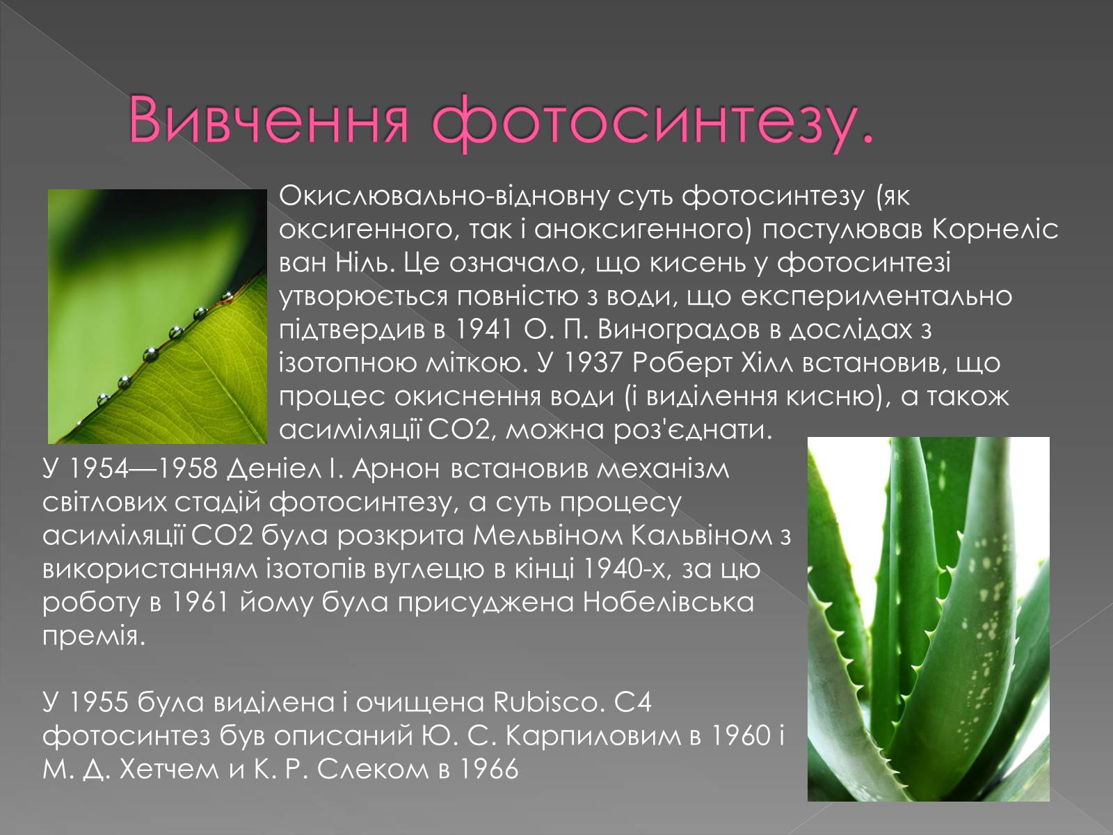 Презентація на тему «Фотосинтез» (варіант 1) - Слайд #11 Презентація на тему «Фотосинтез» (варіант 1) - Слайд #11