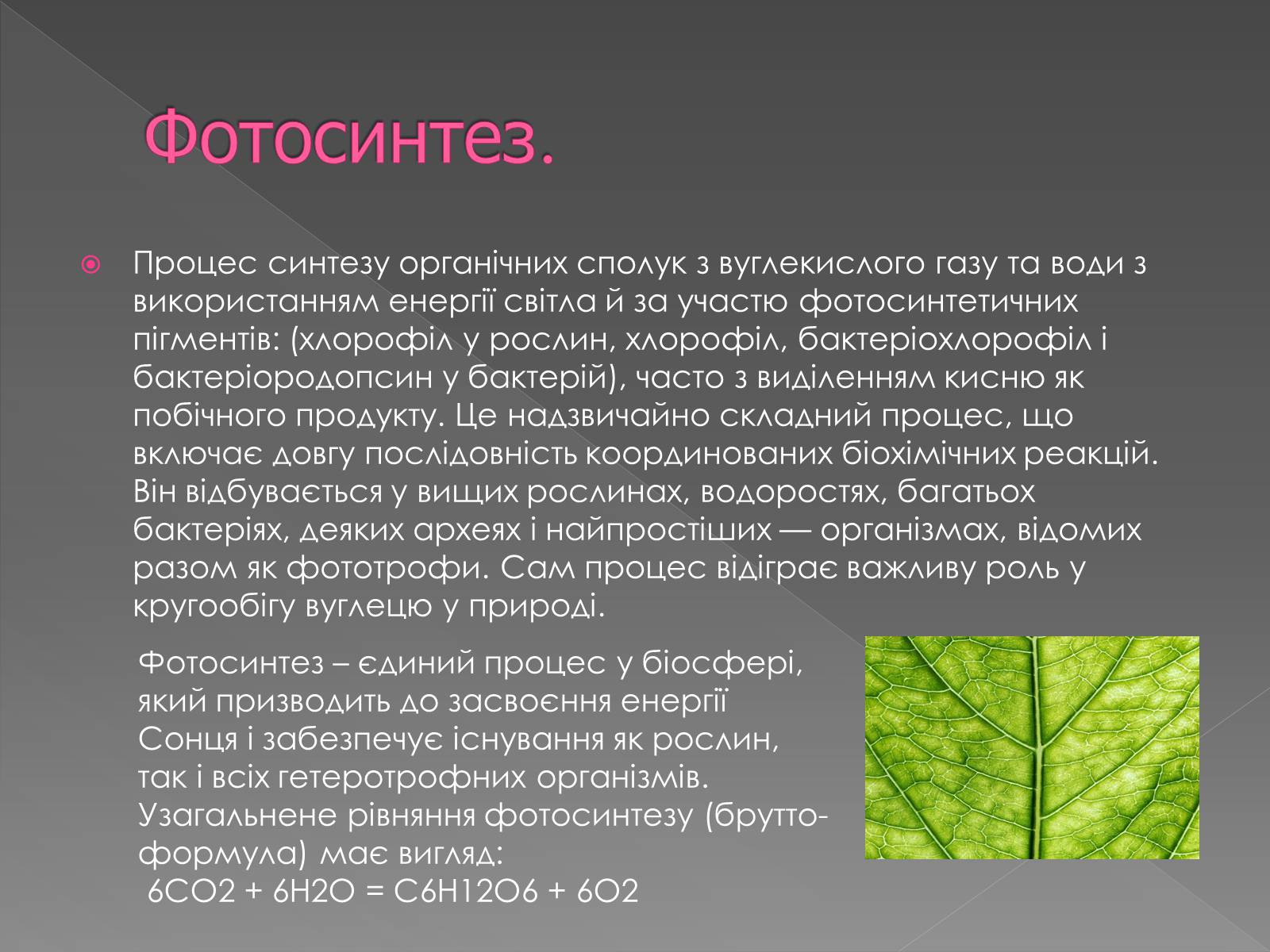 Презентація на тему «Фотосинтез» (варіант 1) - Слайд #2 Презентація на тему «Фотосинтез» (варіант 1) - Слайд #2