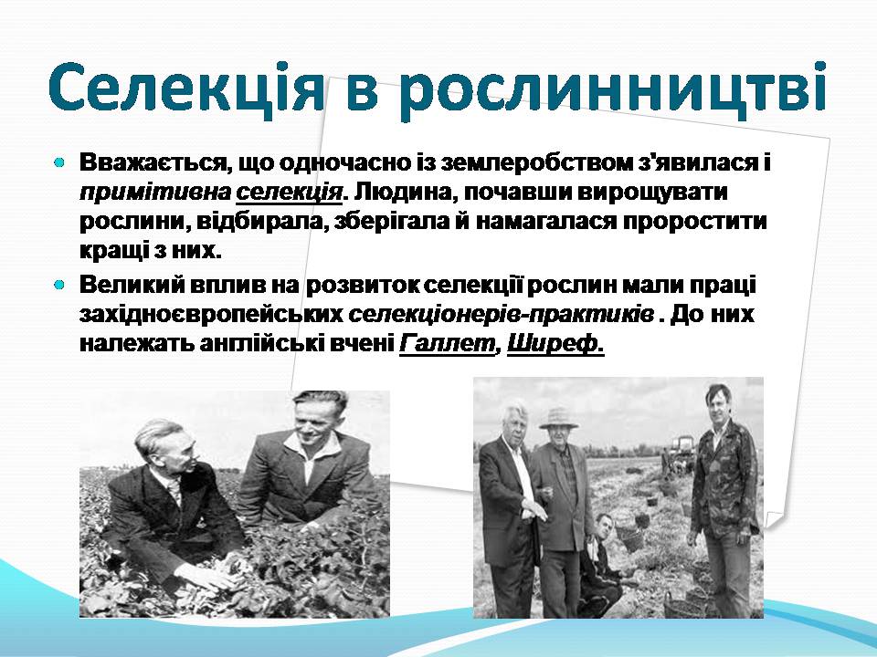 Презентація на тему «Генетичні основи селекції рослин» (варіант 3) - Слайд #4 Презентація на тему «Генетичні основи селекції рослин» (варіант 3) - Слайд #4