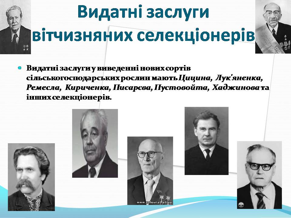 Презентація на тему «Генетичні основи селекції рослин» (варіант 3) - Слайд #8 Презентація на тему «Генетичні основи селекції рослин» (варіант 3) - Слайд #8