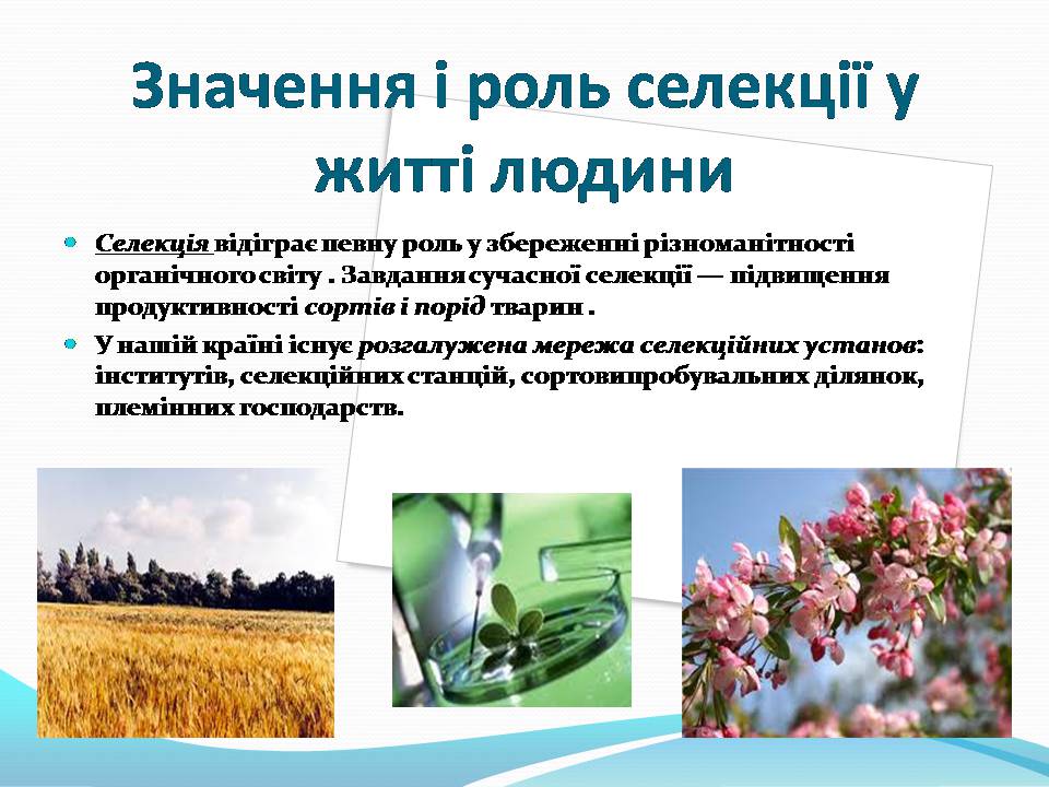 Презентація на тему «Генетичні основи селекції рослин» (варіант 3) - Слайд #9 Презентація на тему «Генетичні основи селекції рослин» (варіант 3) - Слайд #9