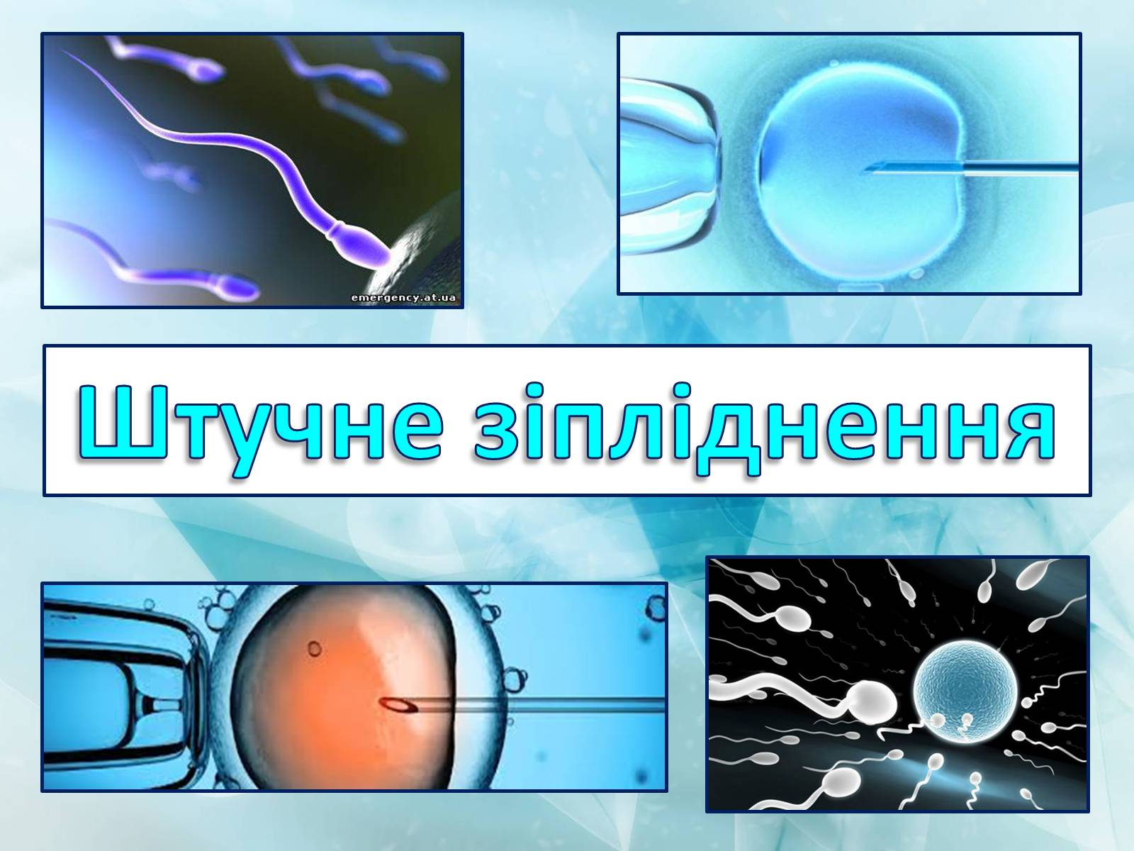 Презентація на тему «Штучне зіпліднення» - Слайд #1 Презентація на тему «Штучне зіпліднення» - Слайд #1