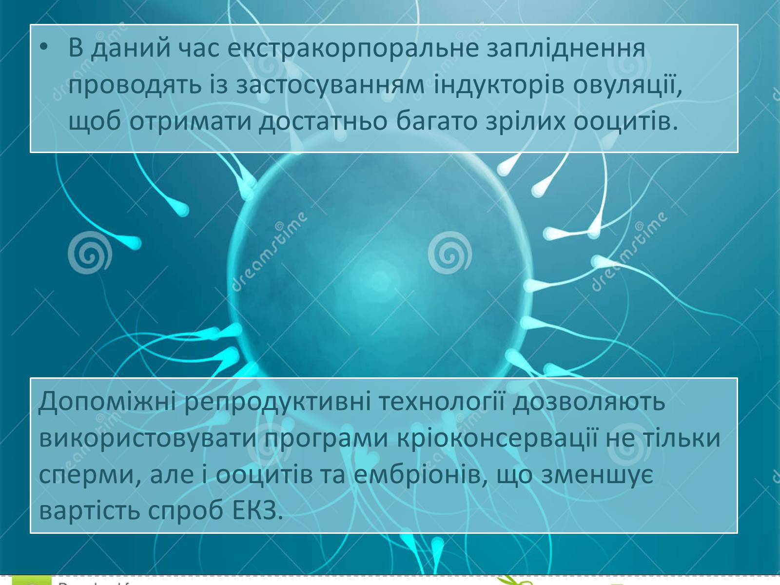 Презентація на тему «Штучне зіпліднення» - Слайд #7 Презентація на тему «Штучне зіпліднення» - Слайд #7