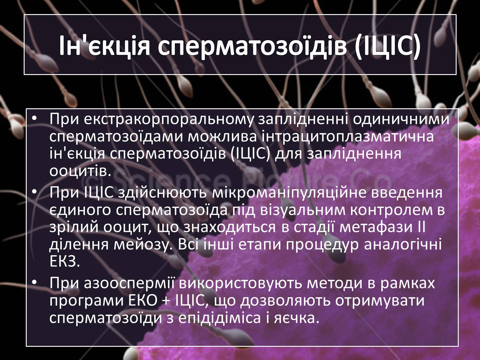 Презентація на тему «Штучне зіпліднення» - Слайд #9 Презентація на тему «Штучне зіпліднення» - Слайд #9