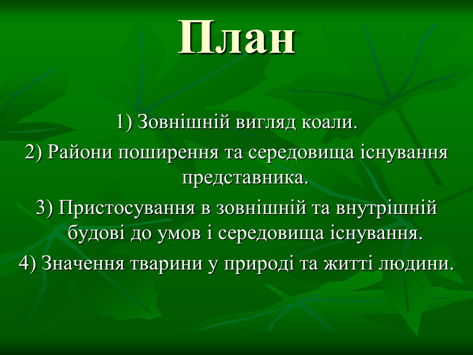 Презентація на тему «Коала» - Слайд #2 Презентація на тему «Коала» - Слайд #2