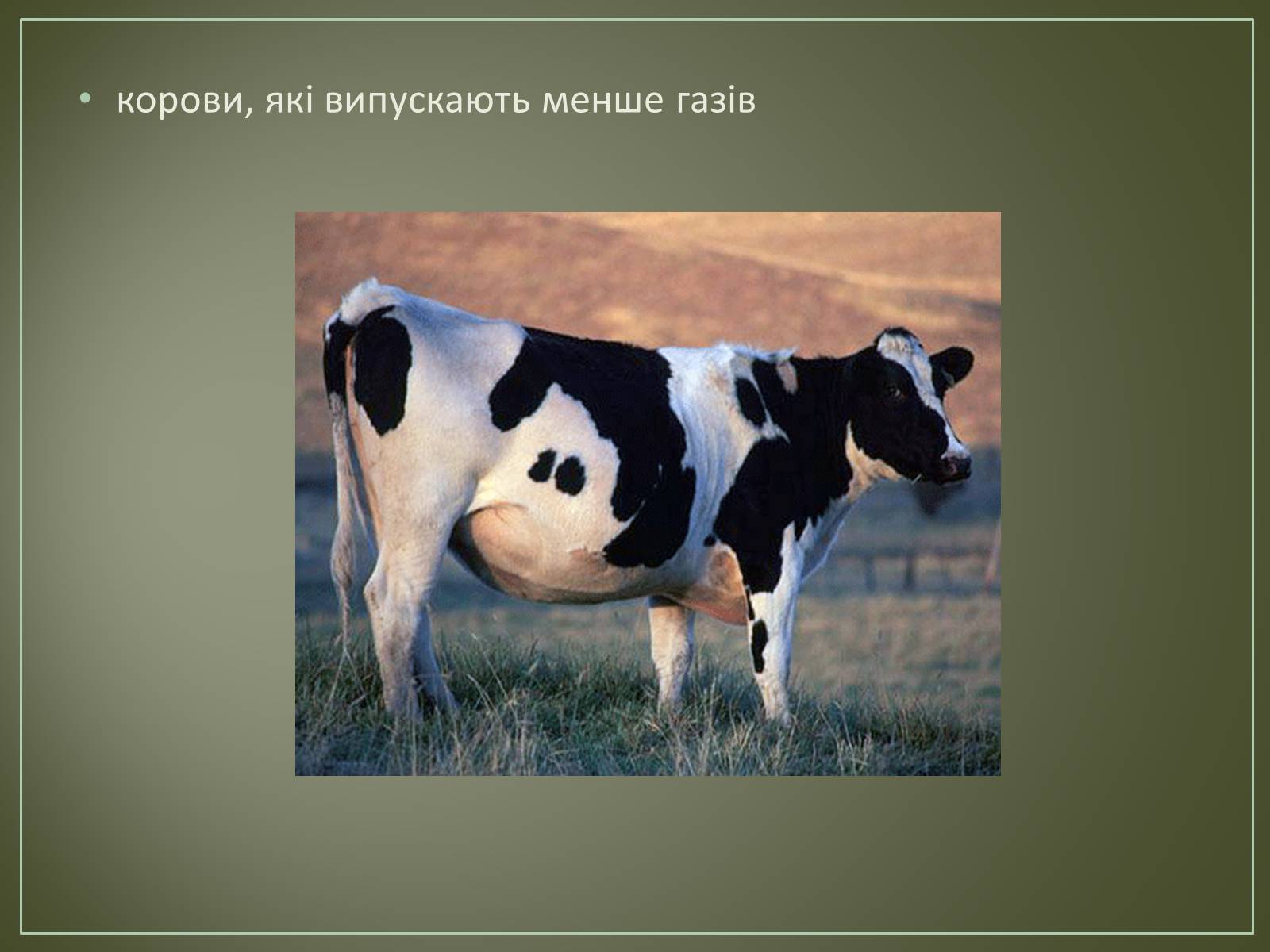 Презентація на тему «Основні напрямки біотехнології» - Слайд #14 Презентація на тему «Основні напрямки біотехнології» - Слайд #14
