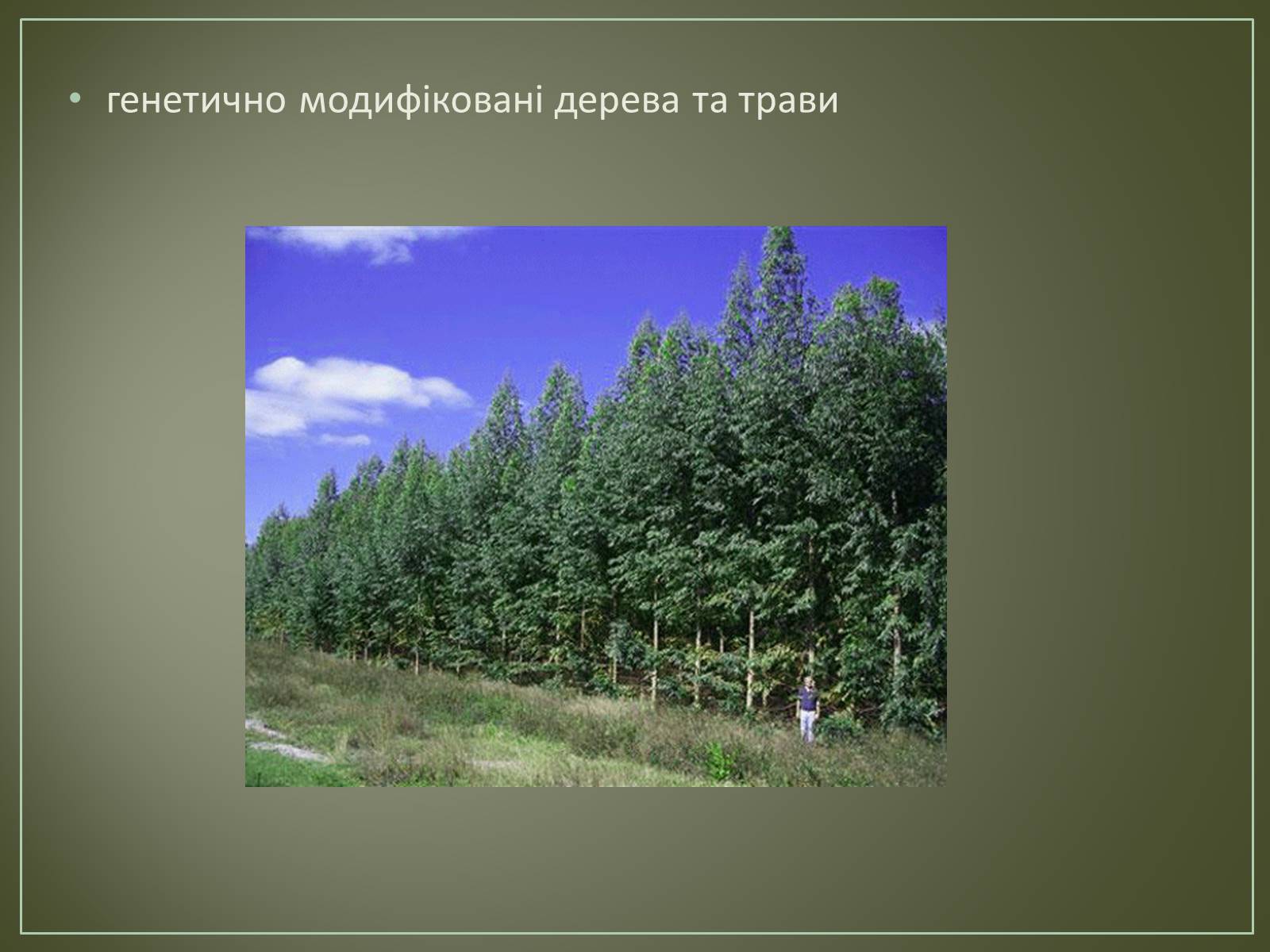 Презентація на тему «Основні напрямки біотехнології» - Слайд #15 Презентація на тему «Основні напрямки біотехнології» - Слайд #15