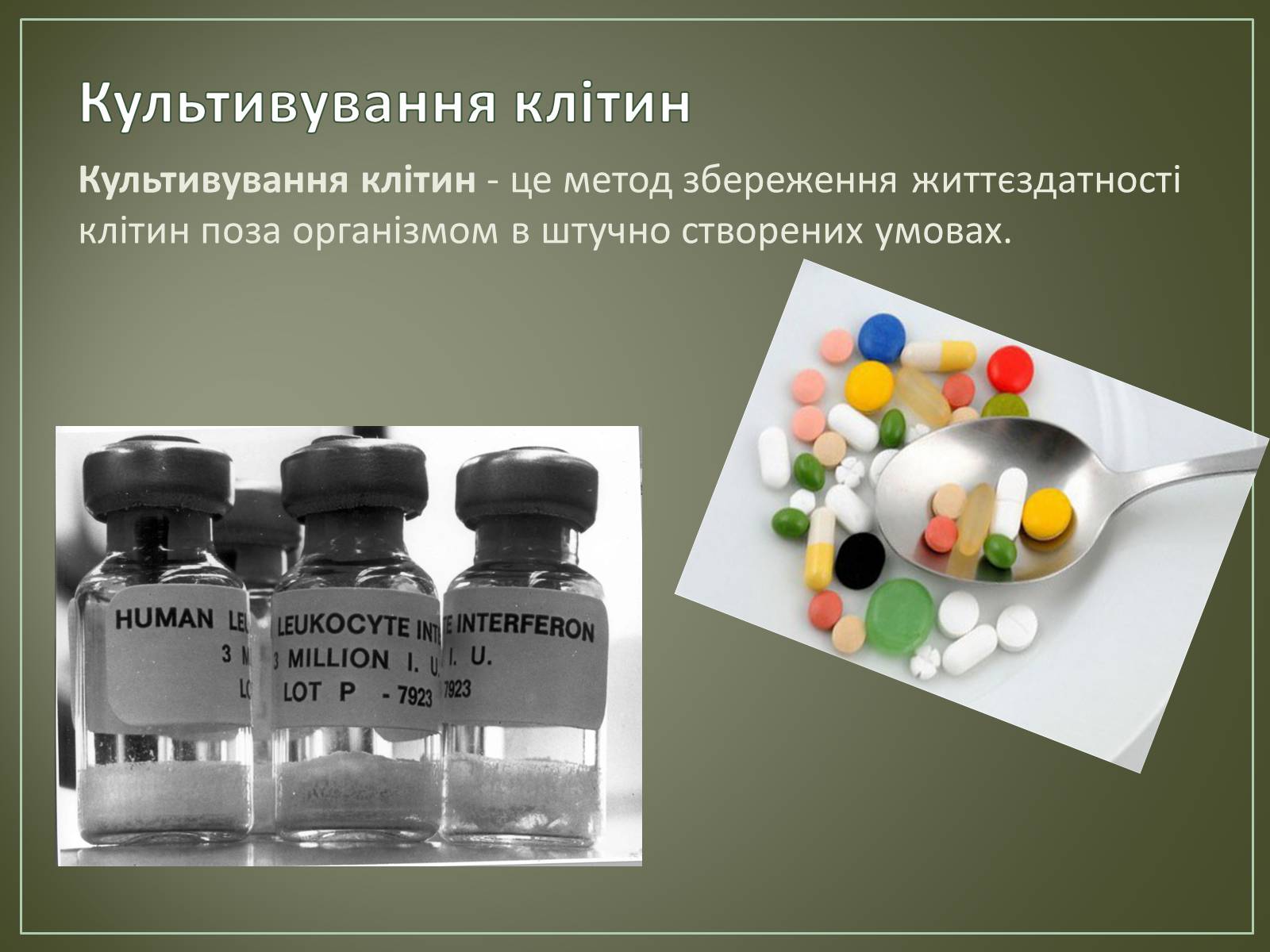 Презентація на тему «Основні напрямки біотехнології» - Слайд #21 Презентація на тему «Основні напрямки біотехнології» - Слайд #21
