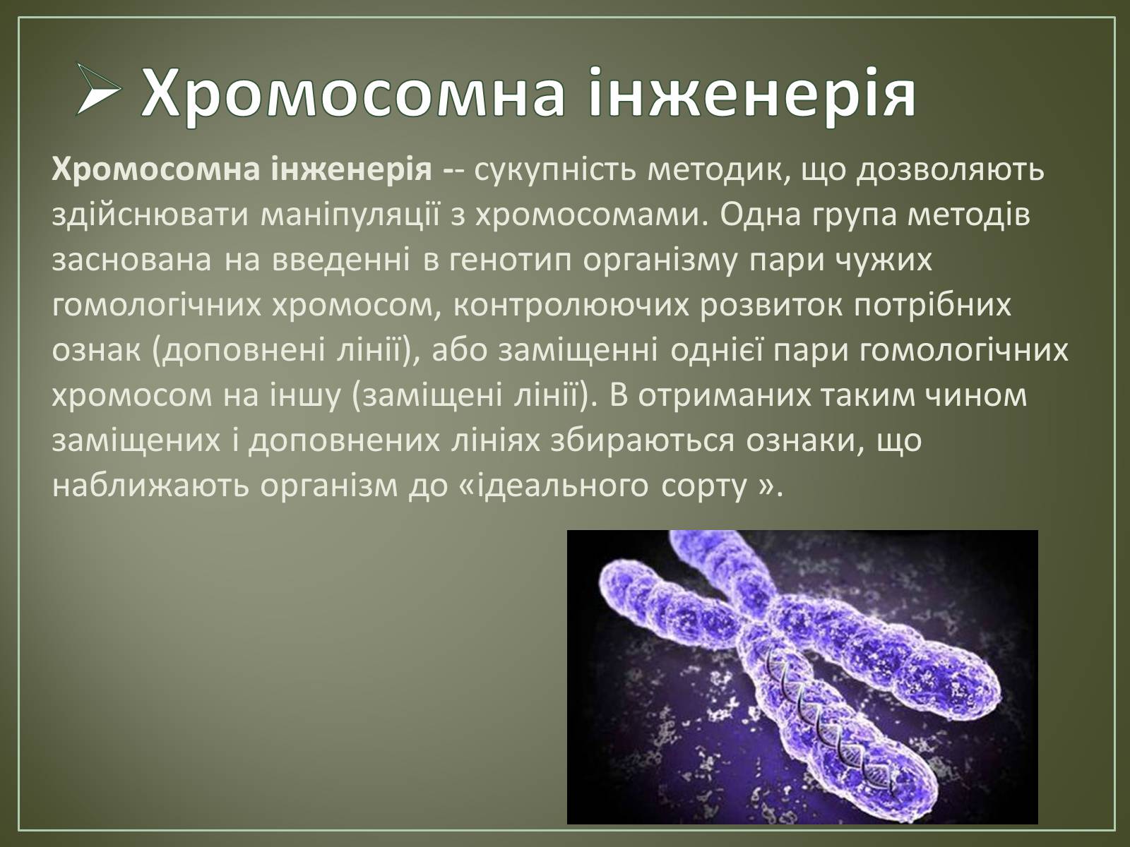 Презентація на тему «Основні напрямки біотехнології» - Слайд #4 Презентація на тему «Основні напрямки біотехнології» - Слайд #4