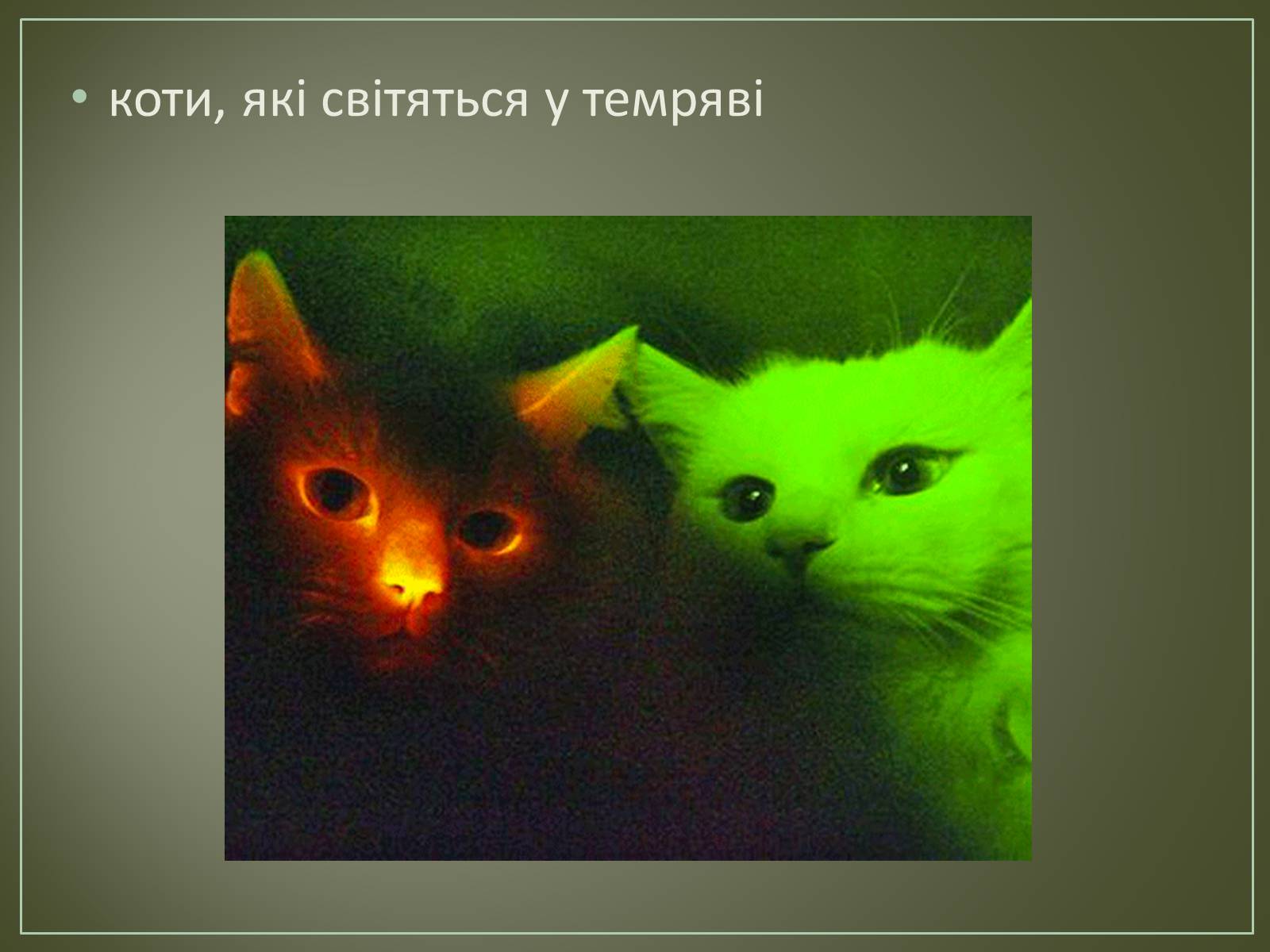Презентація на тему «Основні напрямки біотехнології» - Слайд #7 Презентація на тему «Основні напрямки біотехнології» - Слайд #7